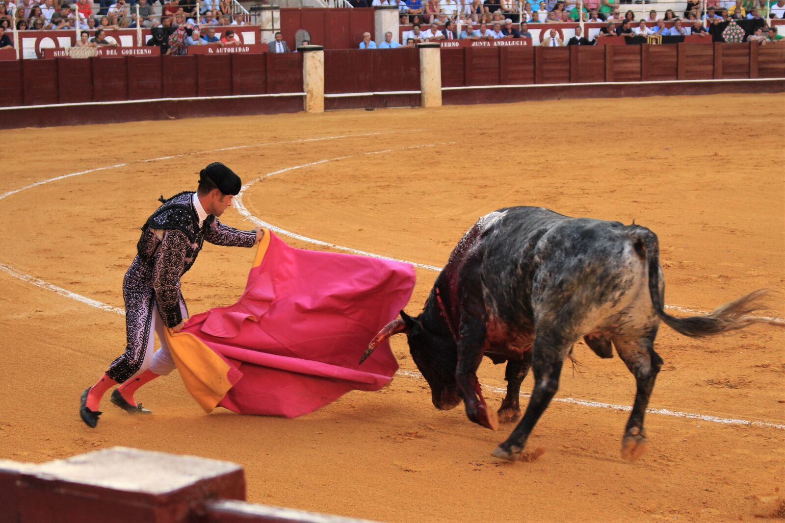 Canon EOS 700D (EOS Rebel T5i / EOS Kiss X7i) sample photo. Bull fighting, spain, torero photography