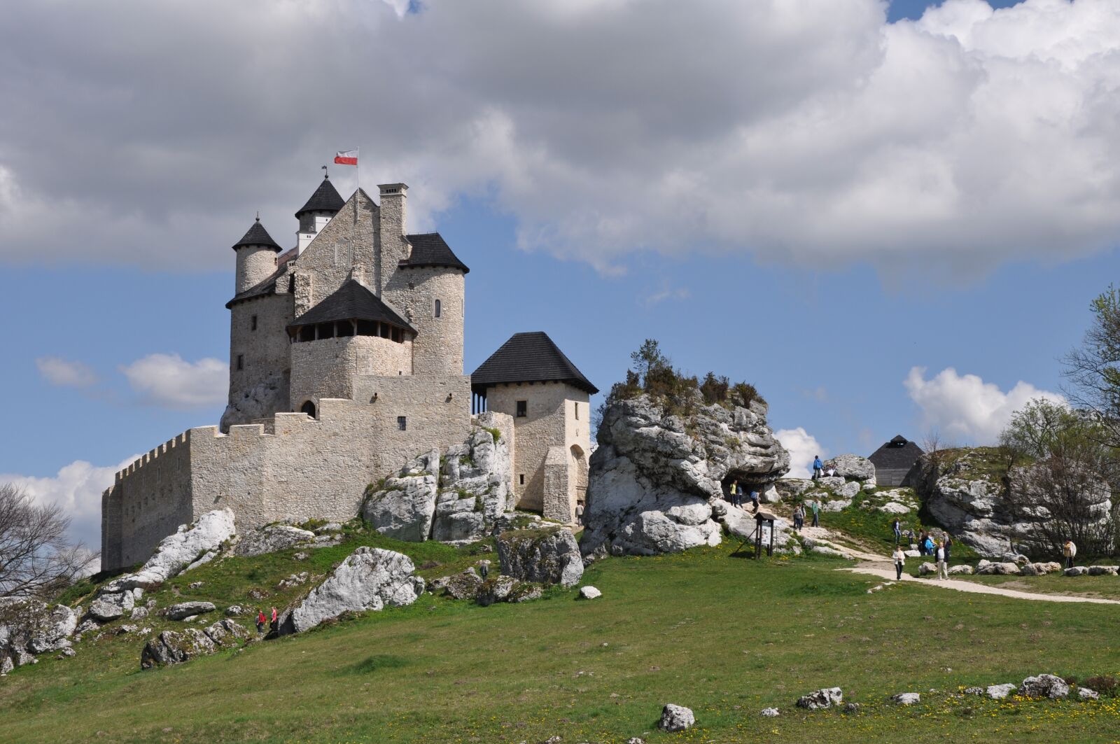 Nikon D5000 sample photo. Poland, castle, jura photography