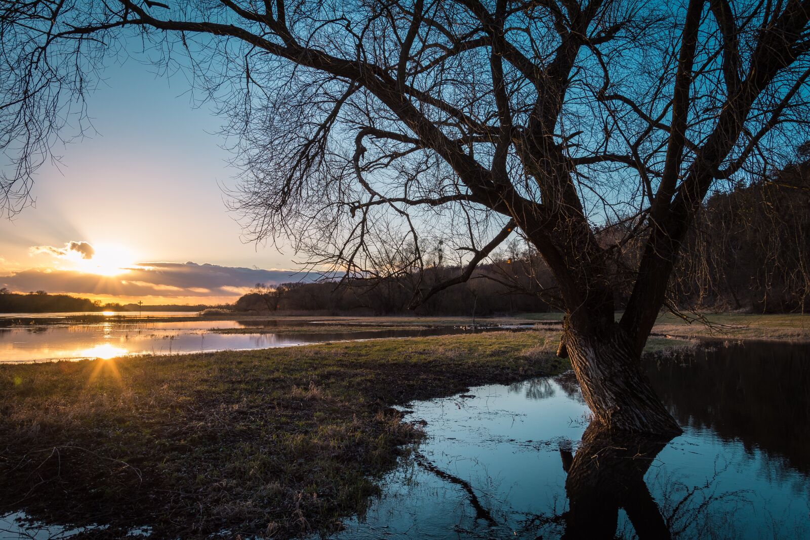 Nikon D7200 sample photo. Elbe, high water, evening photography
