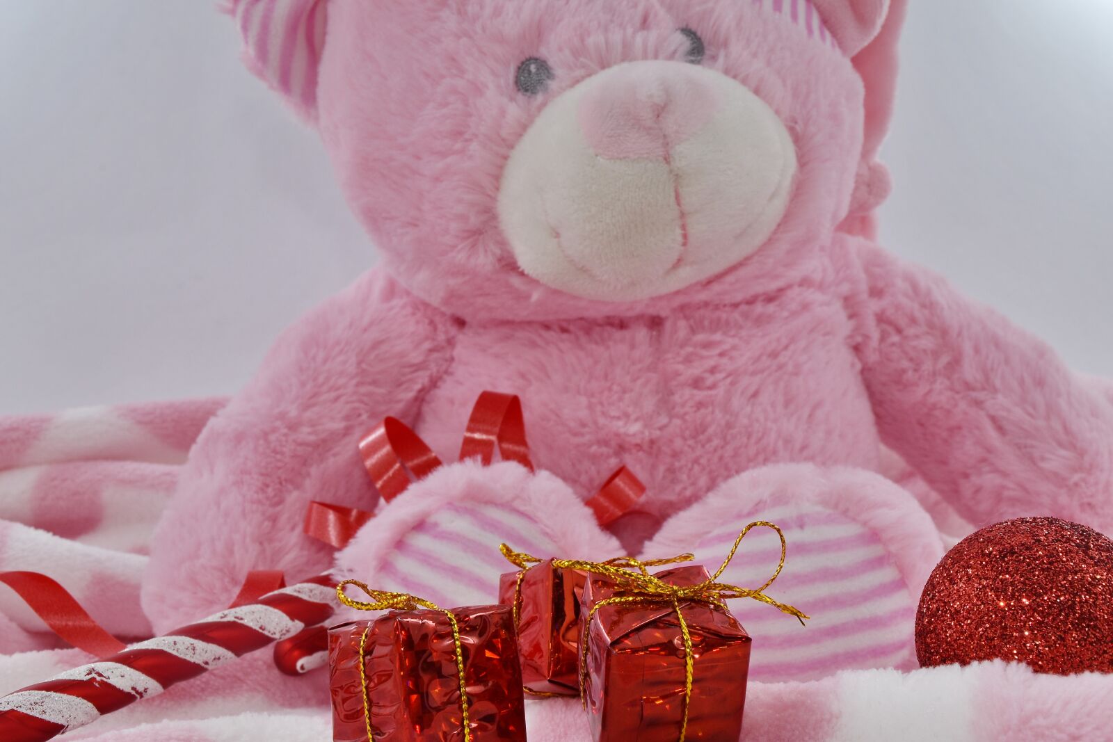Nikon D5500 sample photo. Birthday, doll, gifts, teddy photography