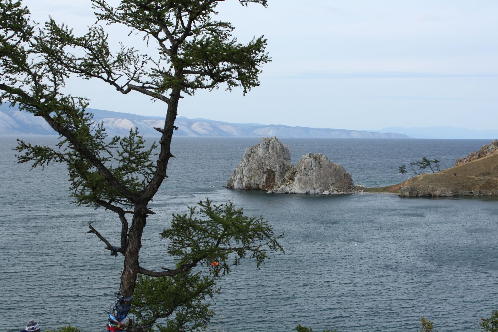 Canon EOS 1000D (EOS Digital Rebel XS / EOS Kiss F) sample photo. Orchid, baikalsee, olkhon photography
