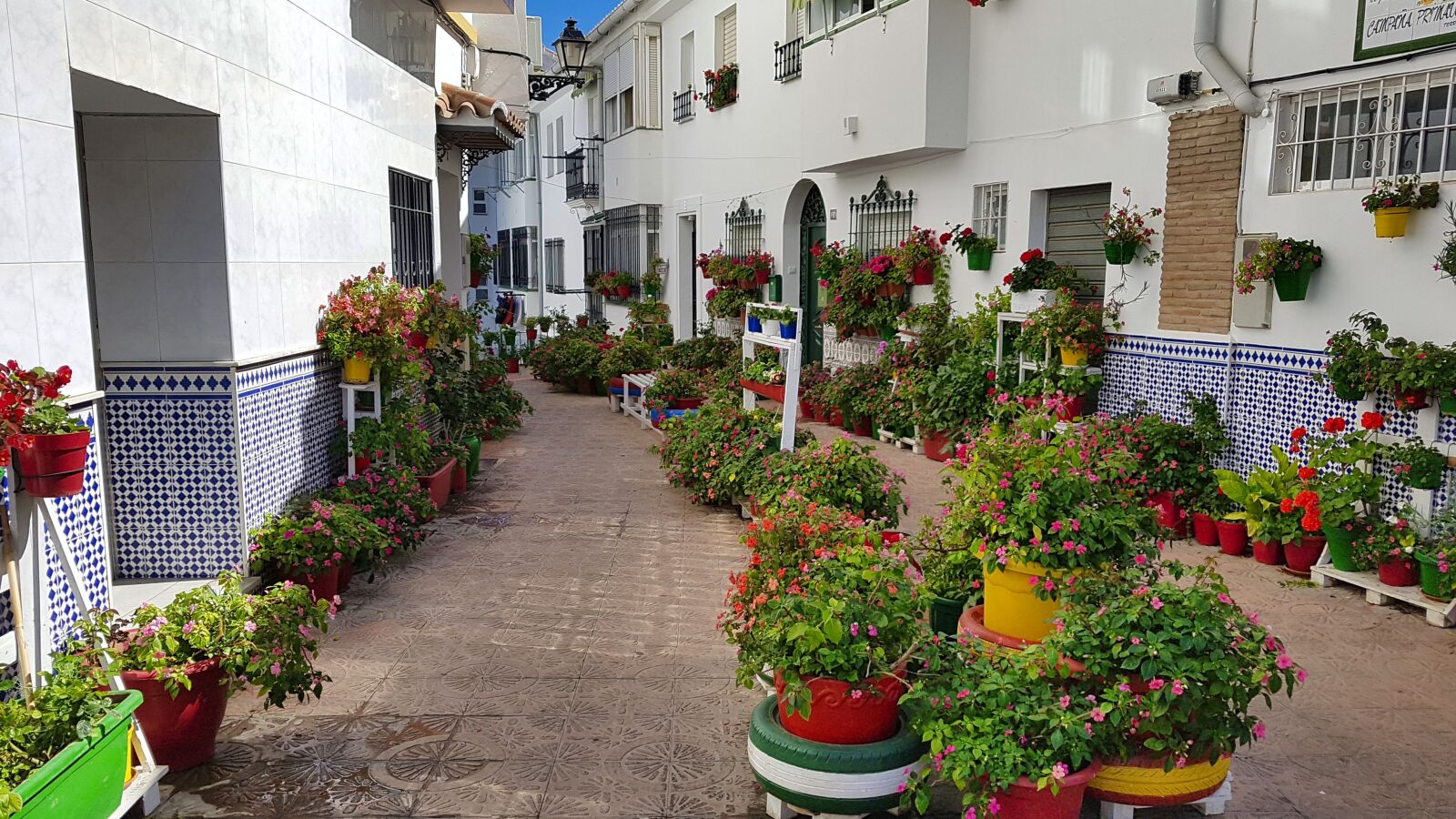 Samsung Galaxy S7 sample photo. Flowers, street, houses photography