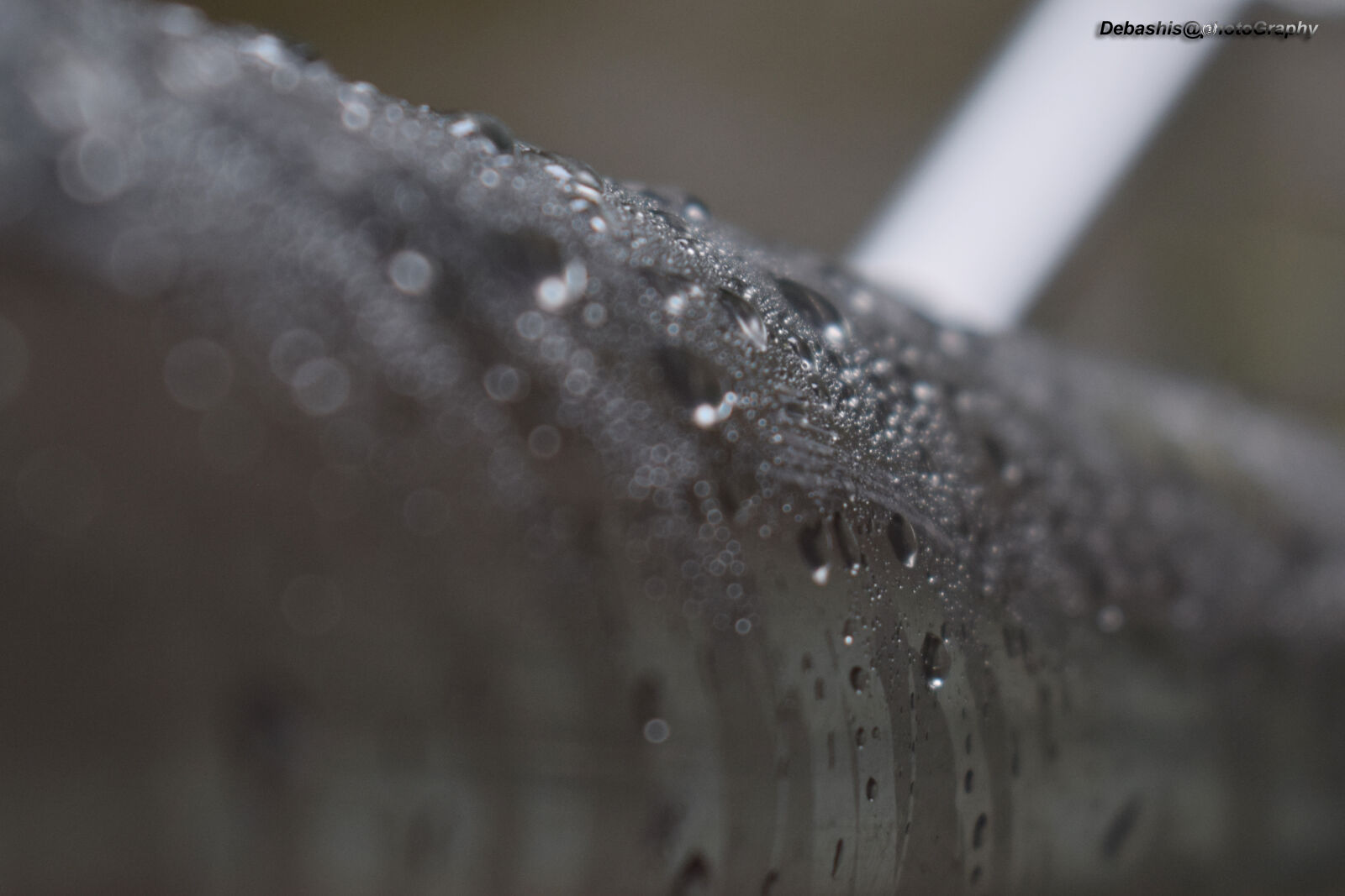 Nikon D3300 sample photo. After, the, rain, drop photography