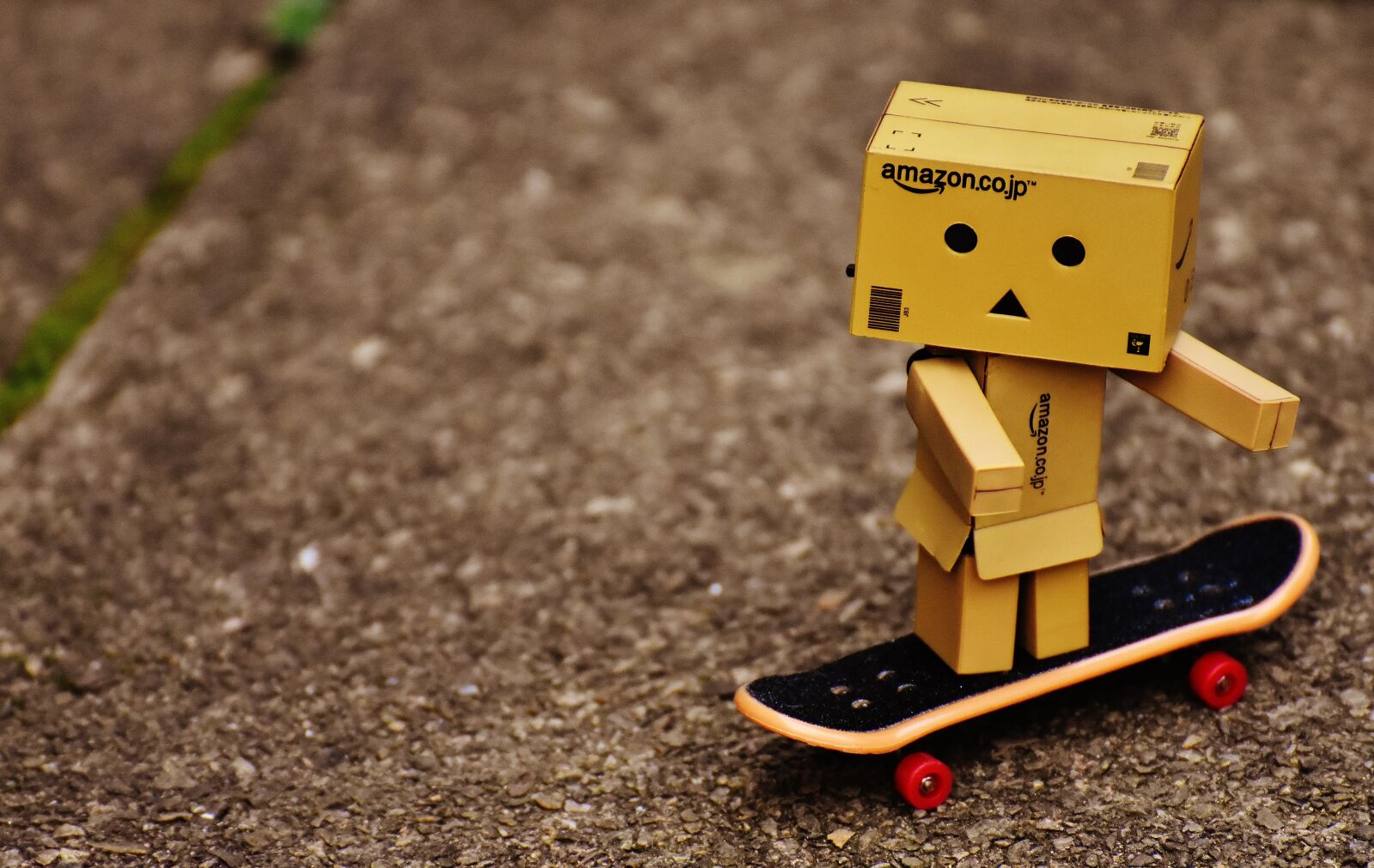 Nikon D7200 sample photo. Danbo, skateboard, drive photography