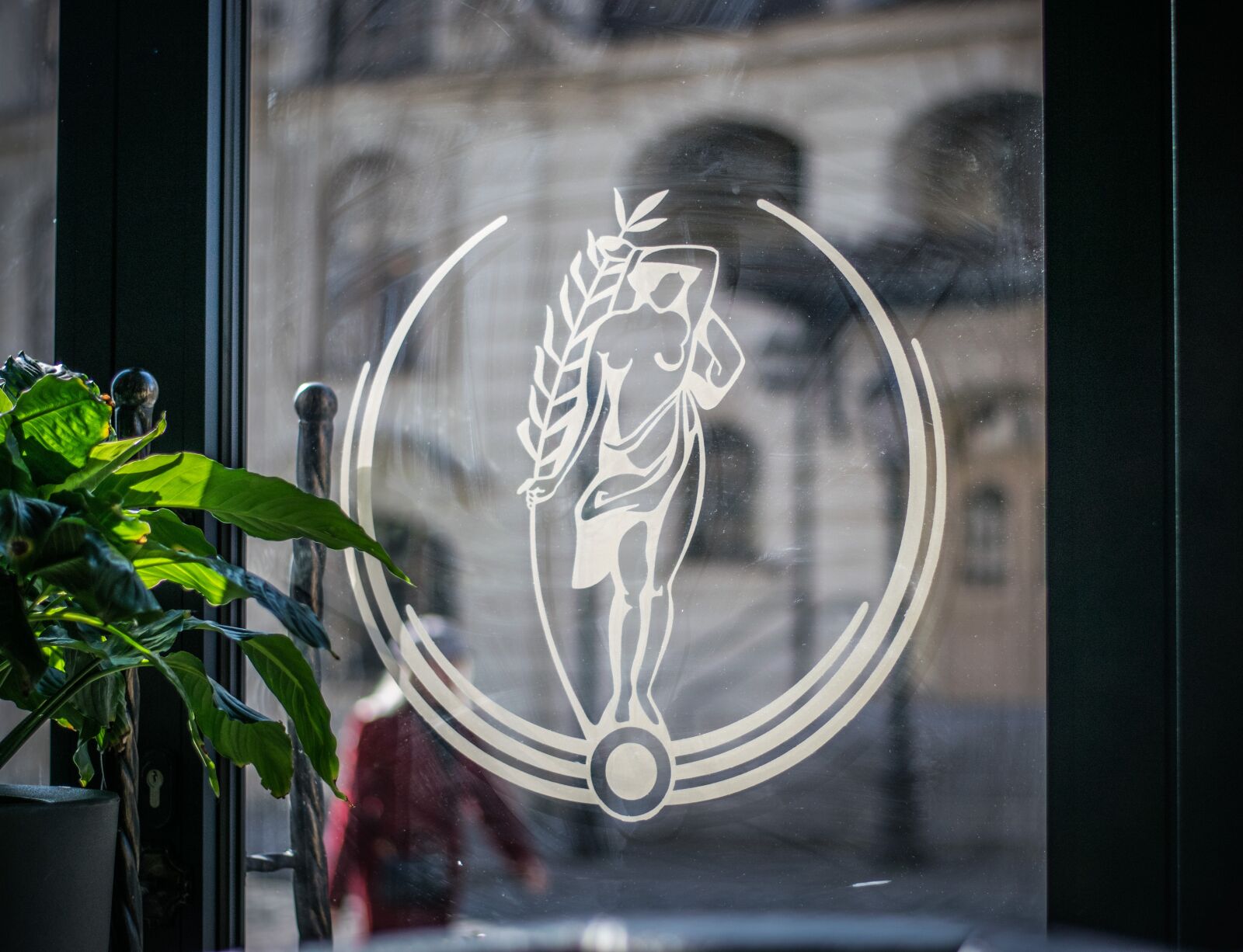 Nikon D5300 sample photo. Café, window, vista photography