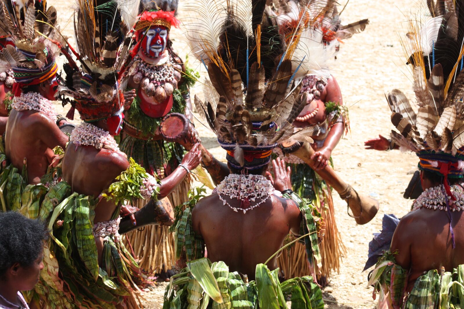 Canon EOS 450D (EOS Rebel XSi / EOS Kiss X2) sample photo. Highlands, papua new guinea photography