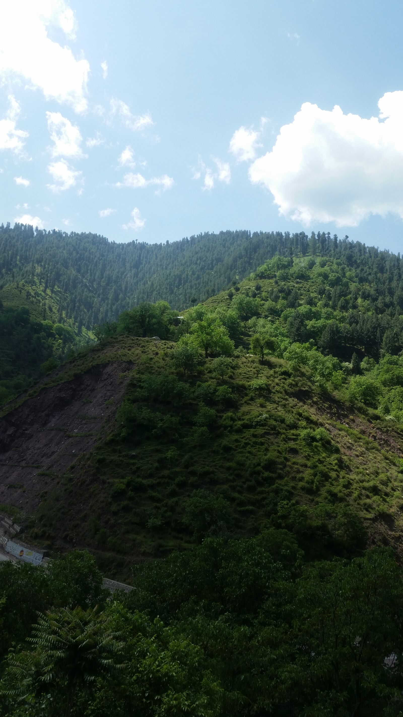 Samsung Galaxy S5 sample photo