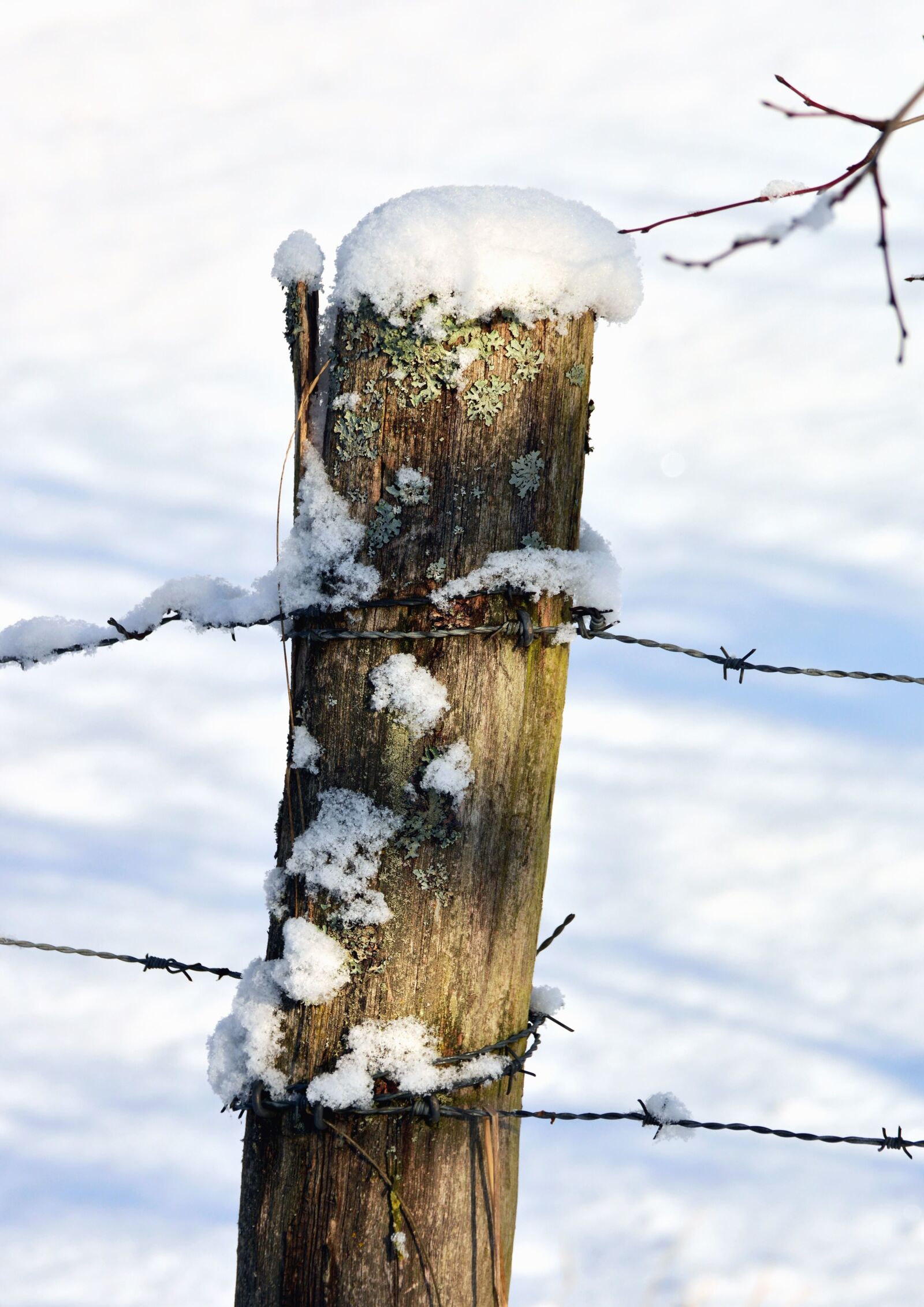 Nikon D5200 sample photo. Pole, snow, wire, fence photography