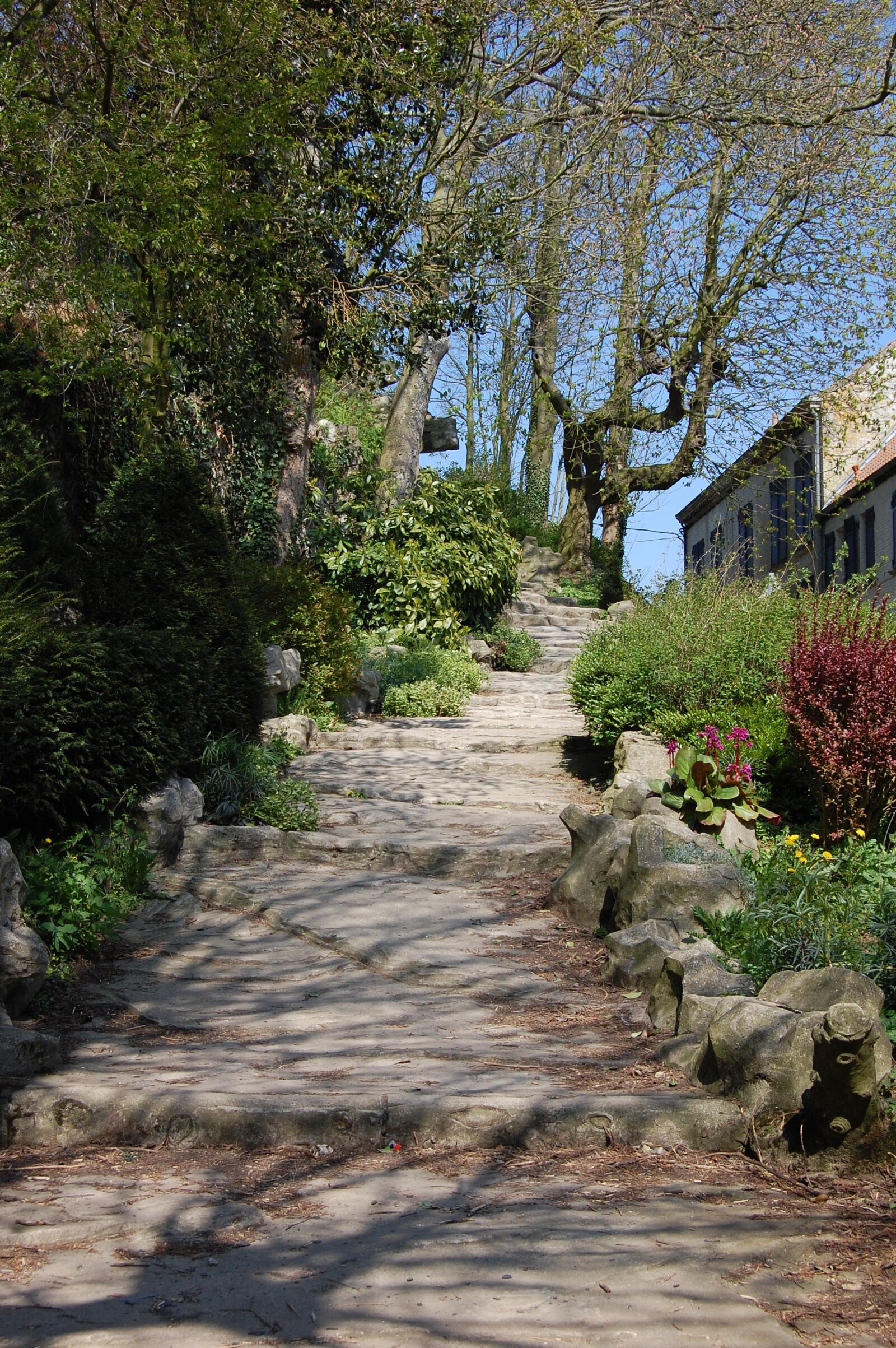 Nikon D40 sample photo. Cassel, trail, lane photography