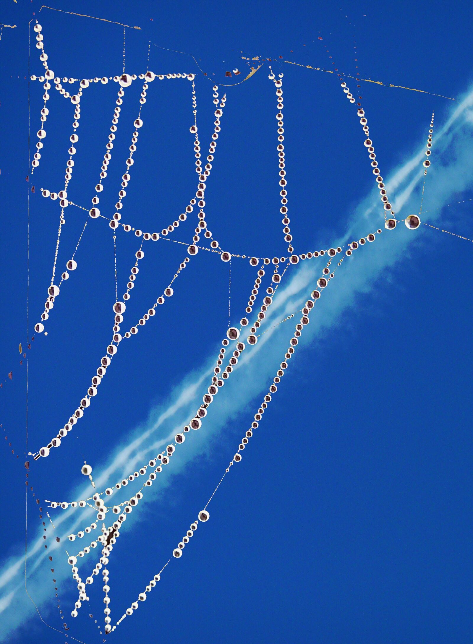 Panasonic DMC-TZ7 sample photo. Thread, insect, landscape photography