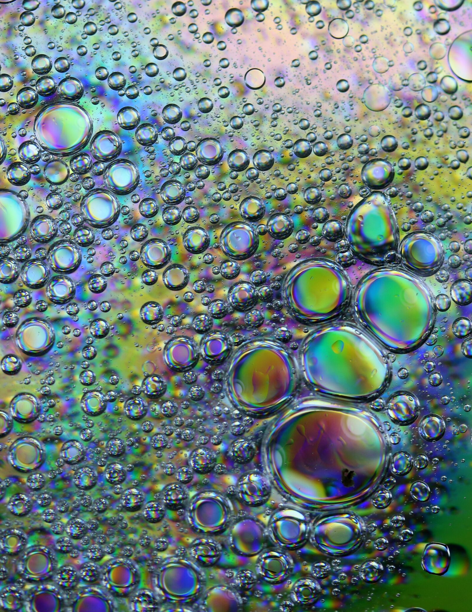 Canon EF-S 60mm F2.8 Macro USM sample photo. Drops, macro, water photography