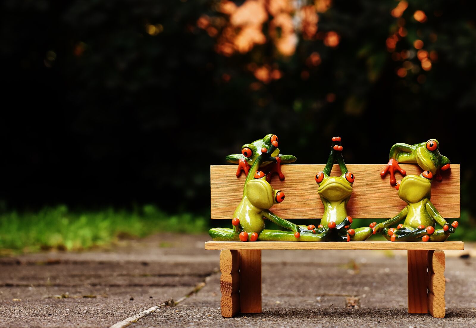 Nikon D7200 sample photo. Frogs, yoga, bank photography