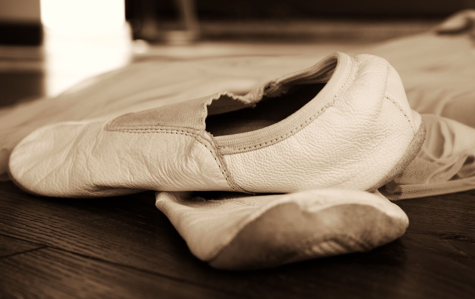 Nikon D5300 sample photo. Dancing, ballet, speech photography