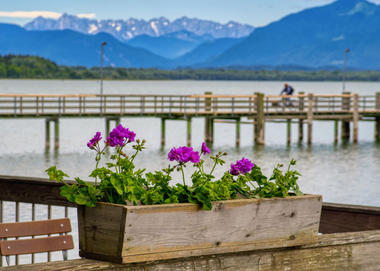 Nikon D7500 sample photo. Flower box, box, flowers photography