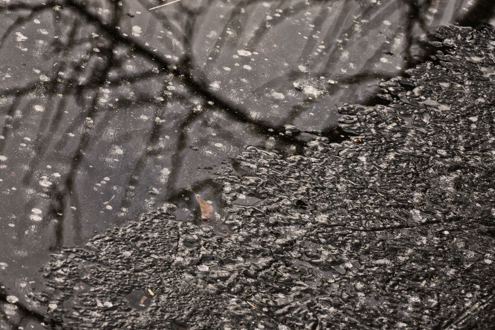 Panasonic Lumix DMC-FZ1000 sample photo. Water, frozen, thaw photography