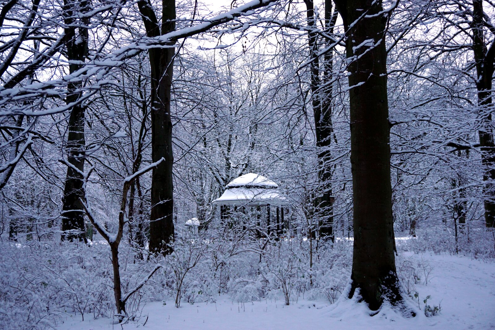 Sony a6000 sample photo. Malmö, winter, sweden photography