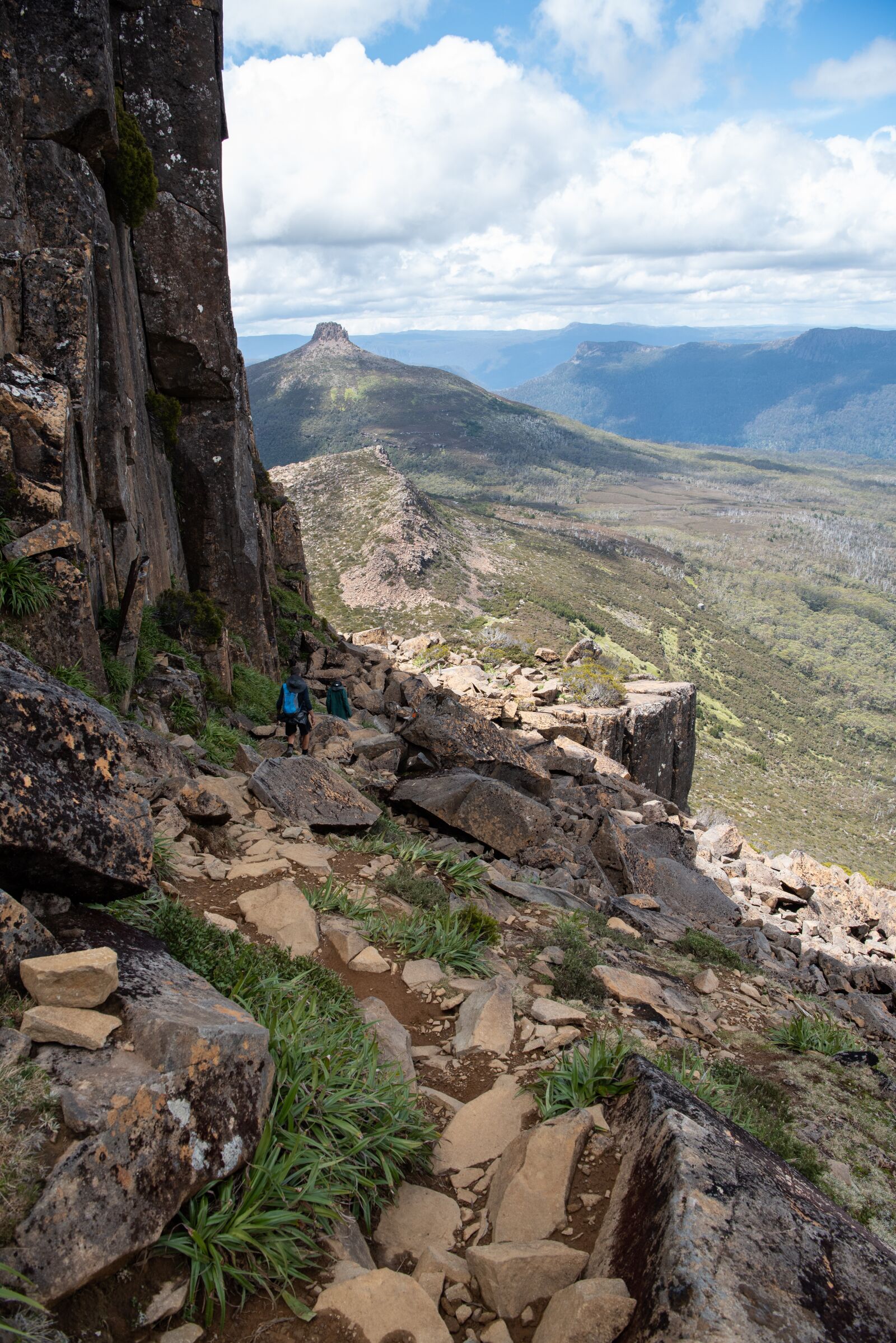 Nikon D750 sample photo. Overland track, tasmania, wilderness photography