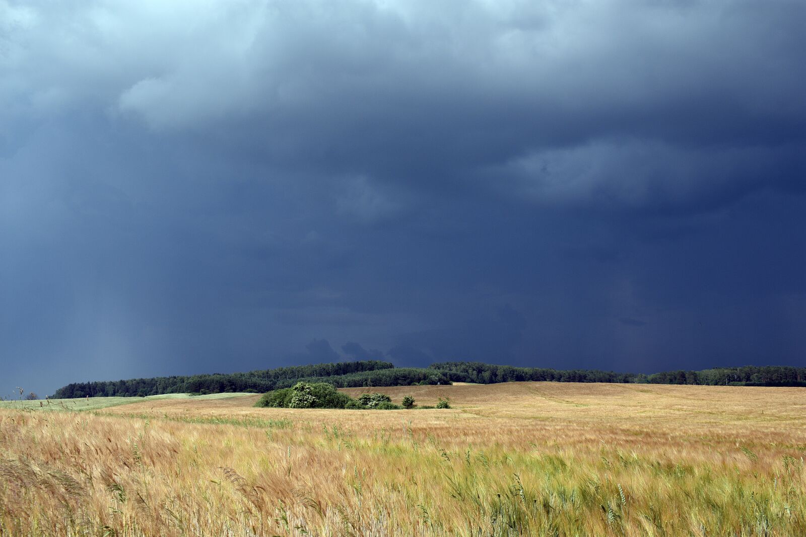 Nikon D3400 sample photo. Evening, cloud cover, clouds photography