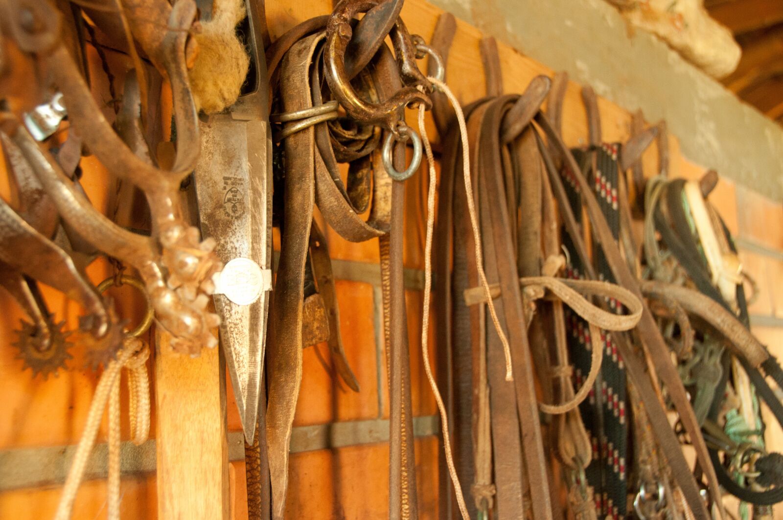 Nikon D90 sample photo. Harnesses, cell, ropes photography