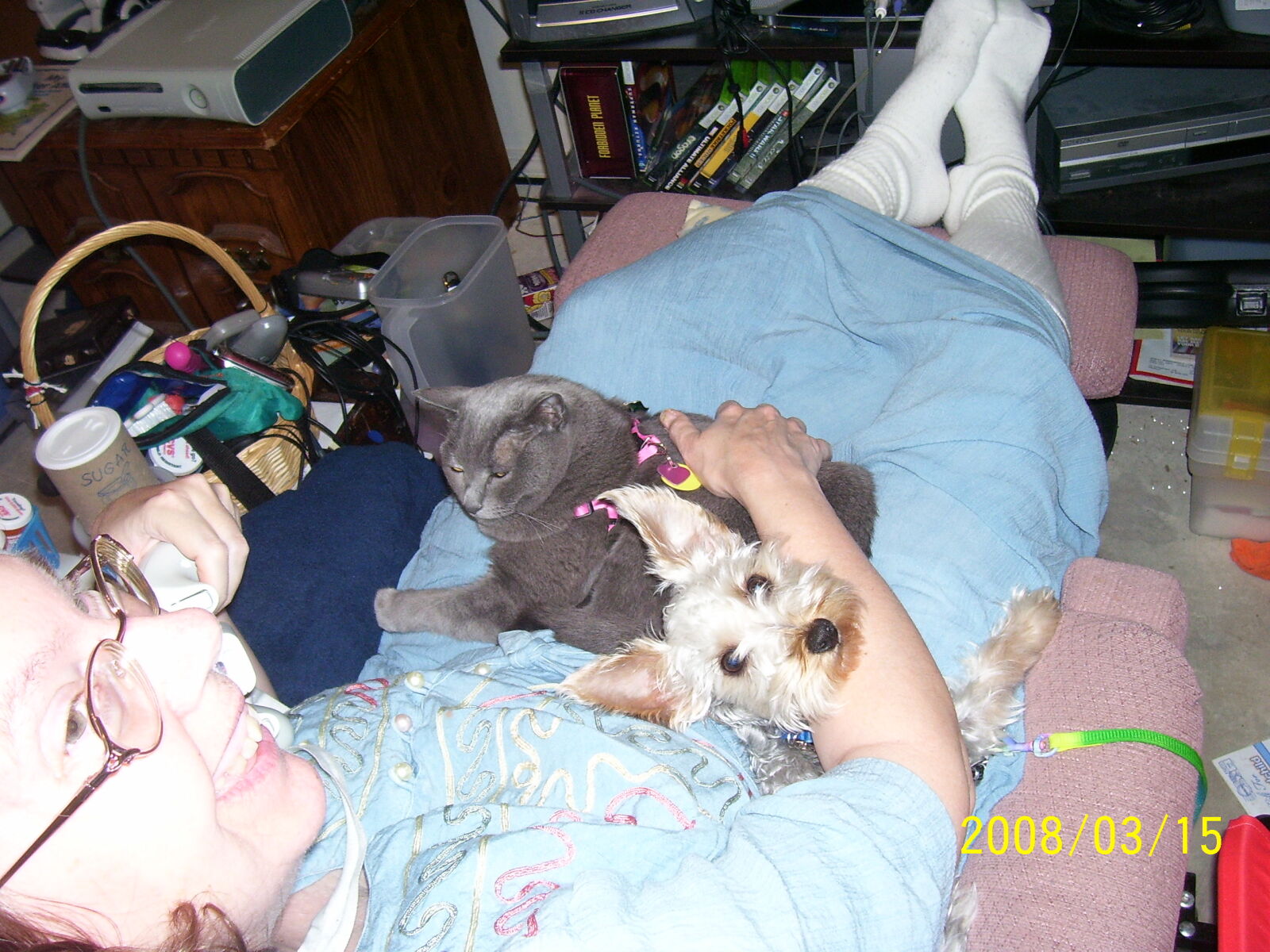 Kodak C340 ZOOM DIGITAL CAMERA sample photo. Blue, russian, cat, dog photography
