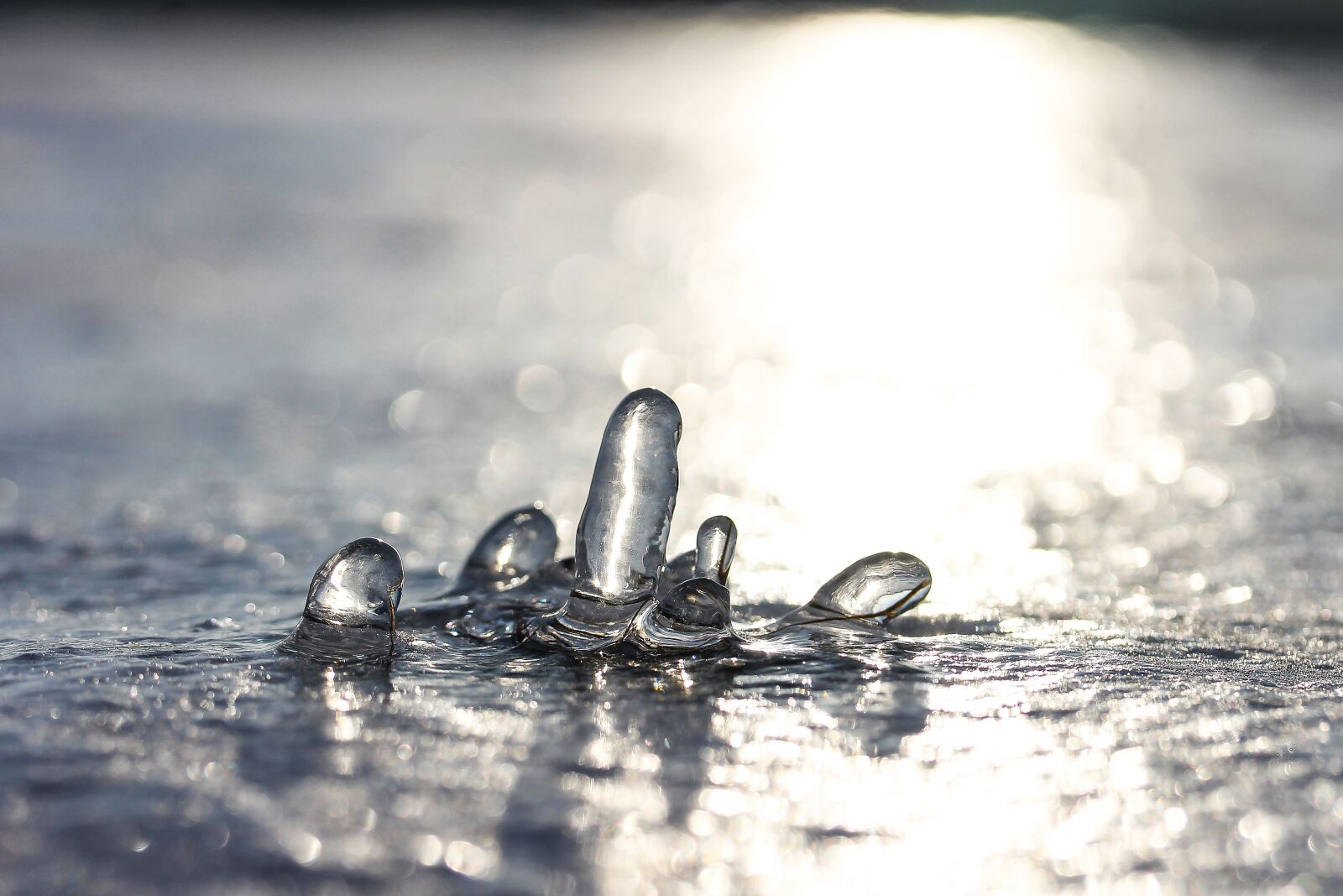 Canon EF-S 60mm F2.8 Macro USM sample photo. Ice, winter, lights photography
