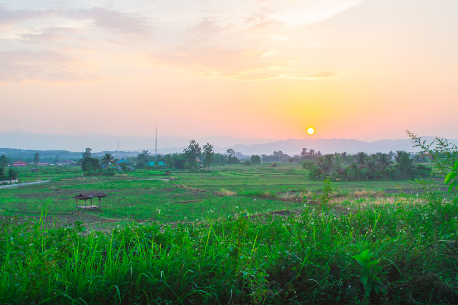 Nikon D3200 sample photo. Agriculture, grass, field, green photography