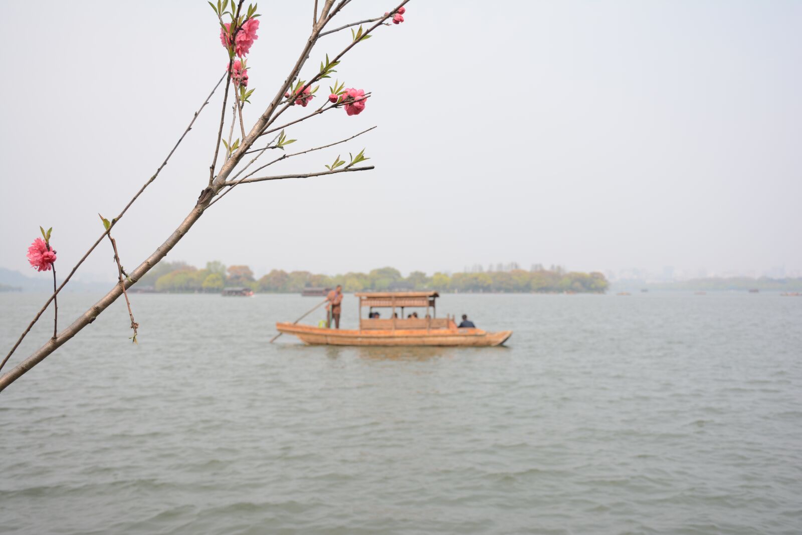Nikon D7100 sample photo. Lake, peach blossom, boat photography