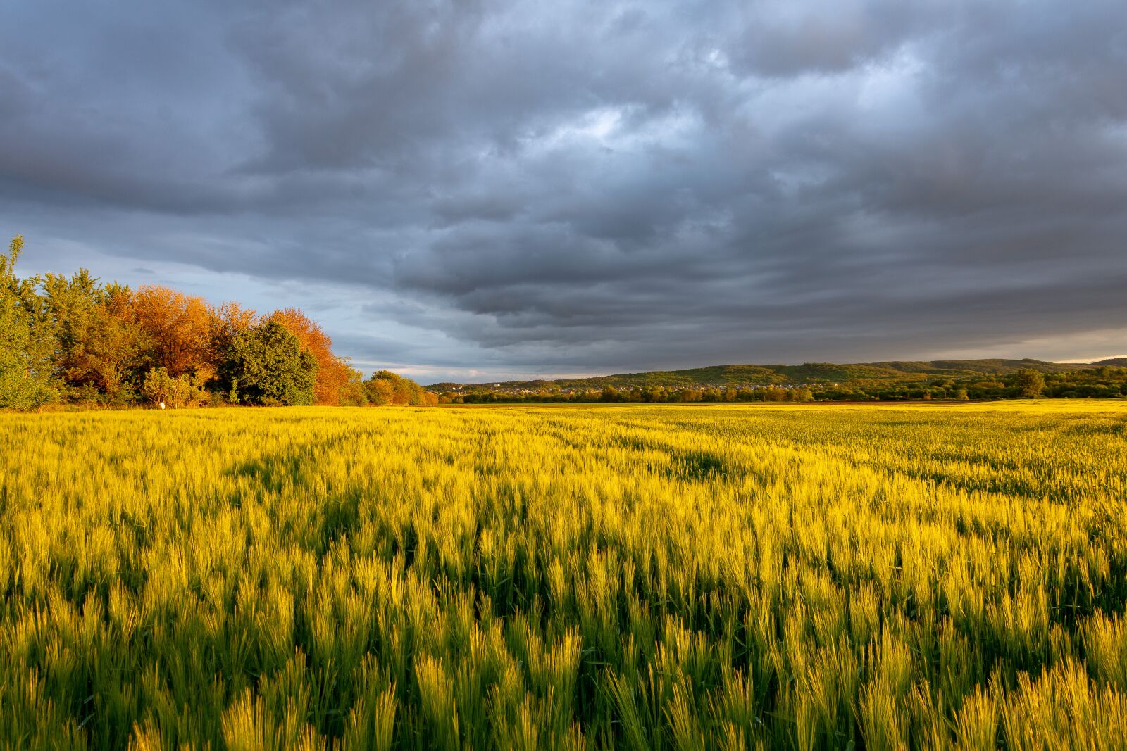 Nikon D7200 sample photo. Storm, sunset, nature photography