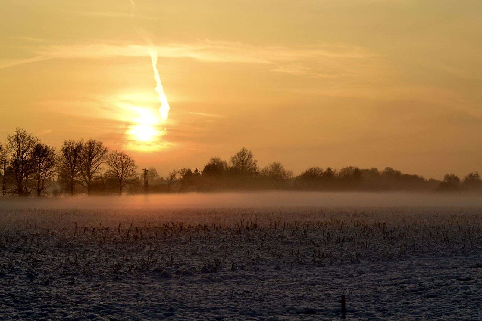 Nikon D3100 sample photo. Winter, frost, snow photography