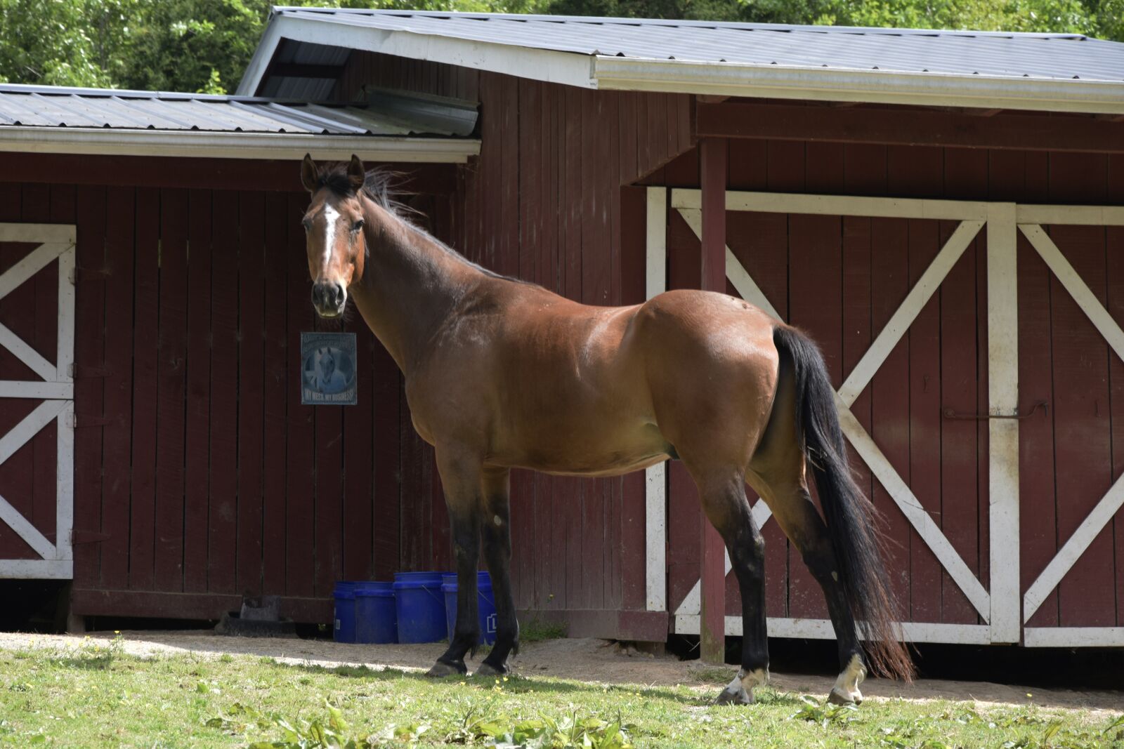 Nikon D3300 sample photo. Farm, wood, barn photography