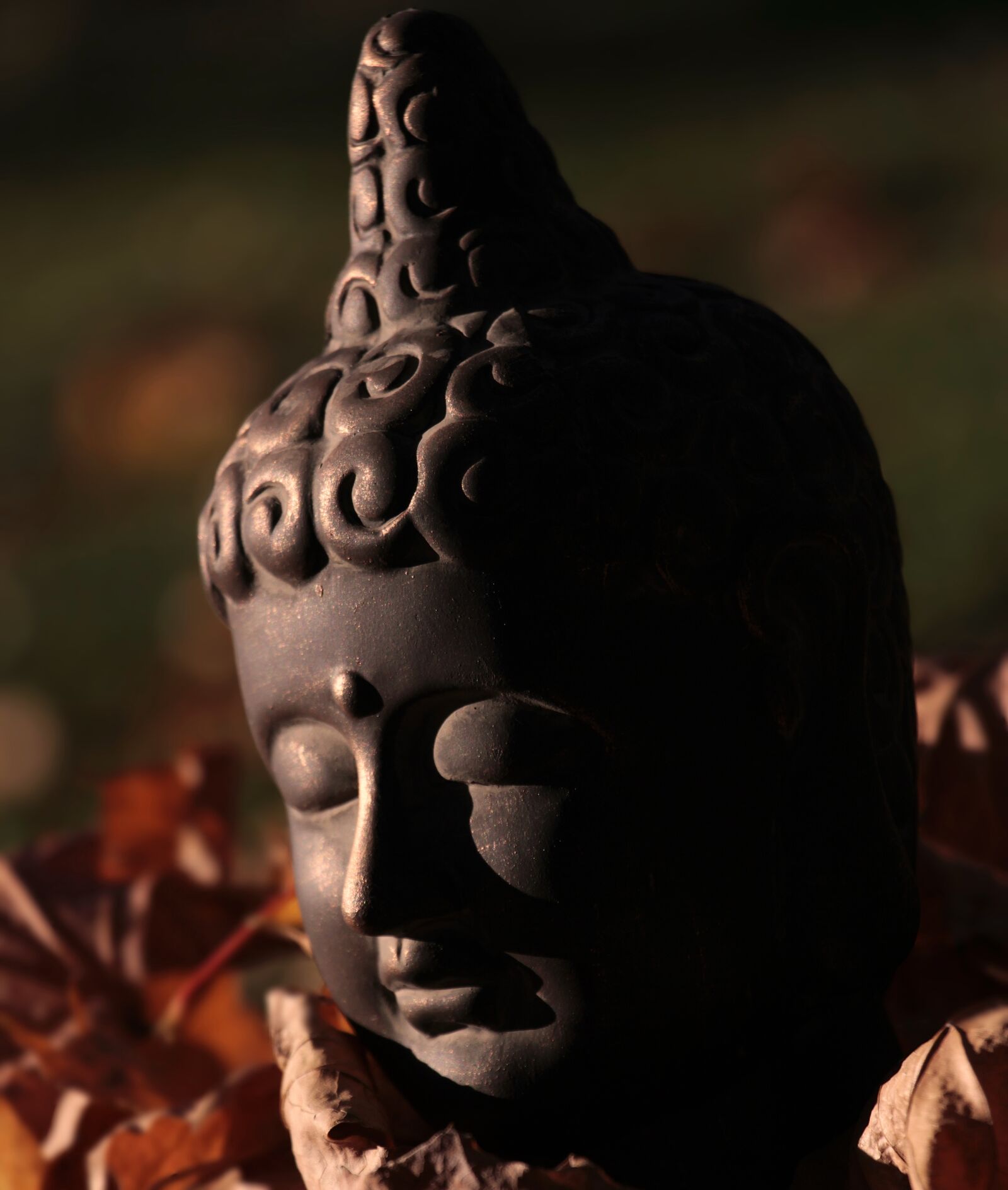 Canon EOS 100D (EOS Rebel SL1 / EOS Kiss X7) sample photo. Buddha, buddha figure, head photography