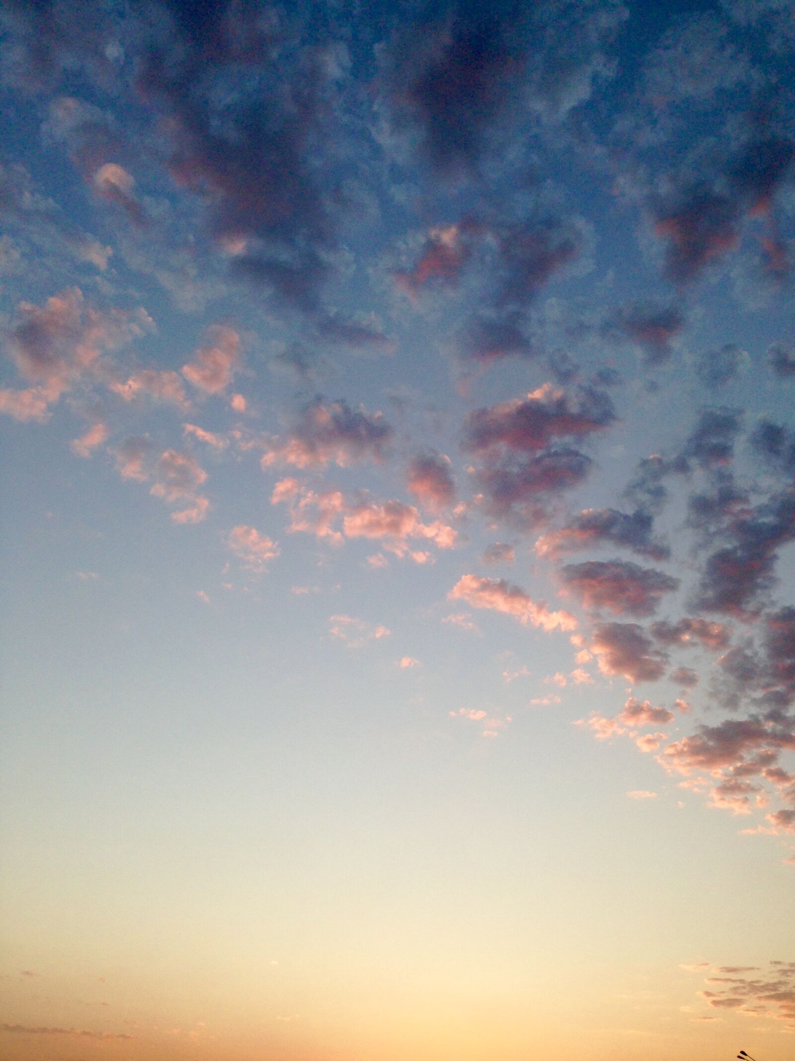 iPhone 5 back camera 4.12mm f/2.4 sample photo. Light, dawn, sunset, pattern photography