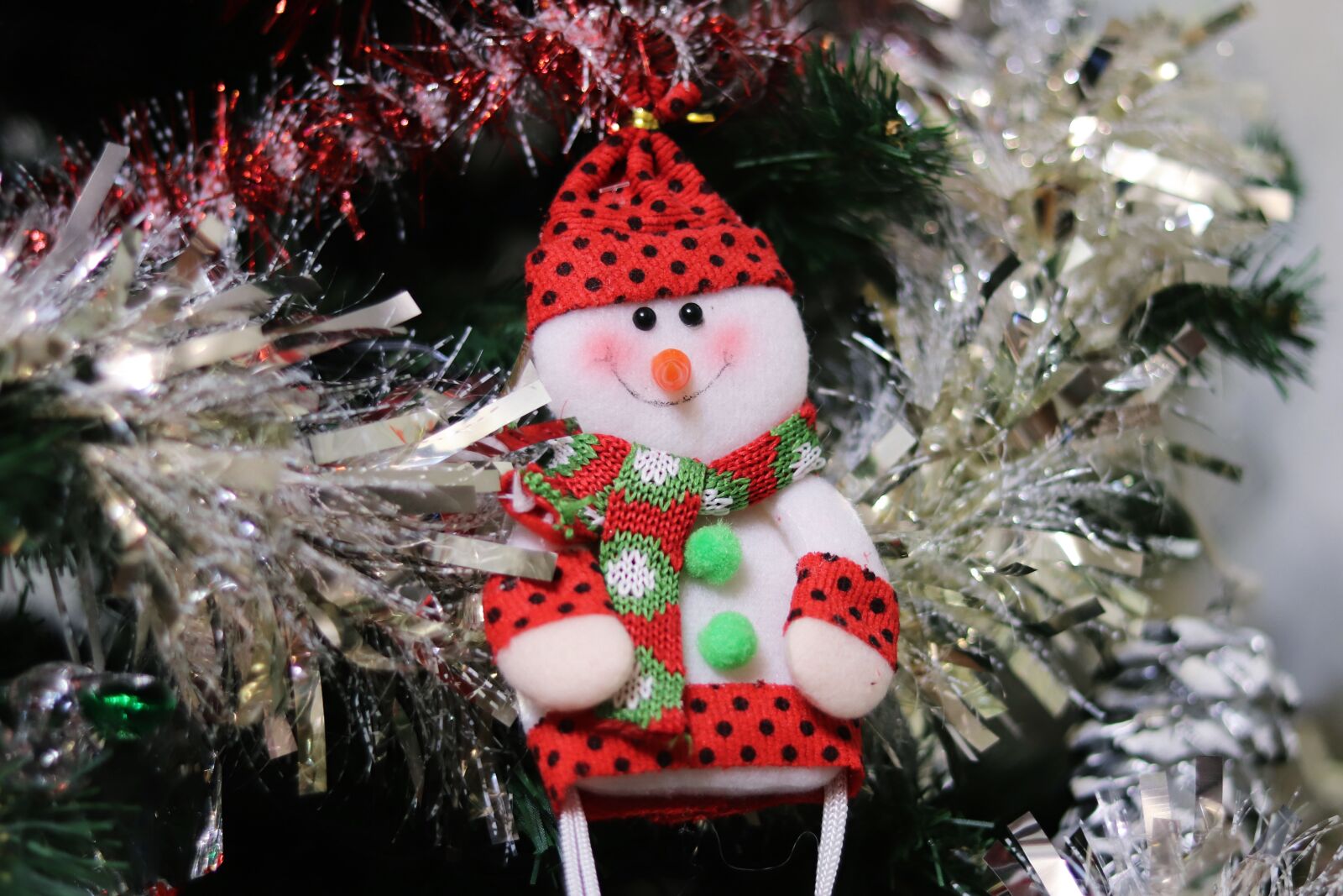 Canon EOS 200D (EOS Rebel SL2 / EOS Kiss X9) sample photo. Christmas, snowman, holiday photography