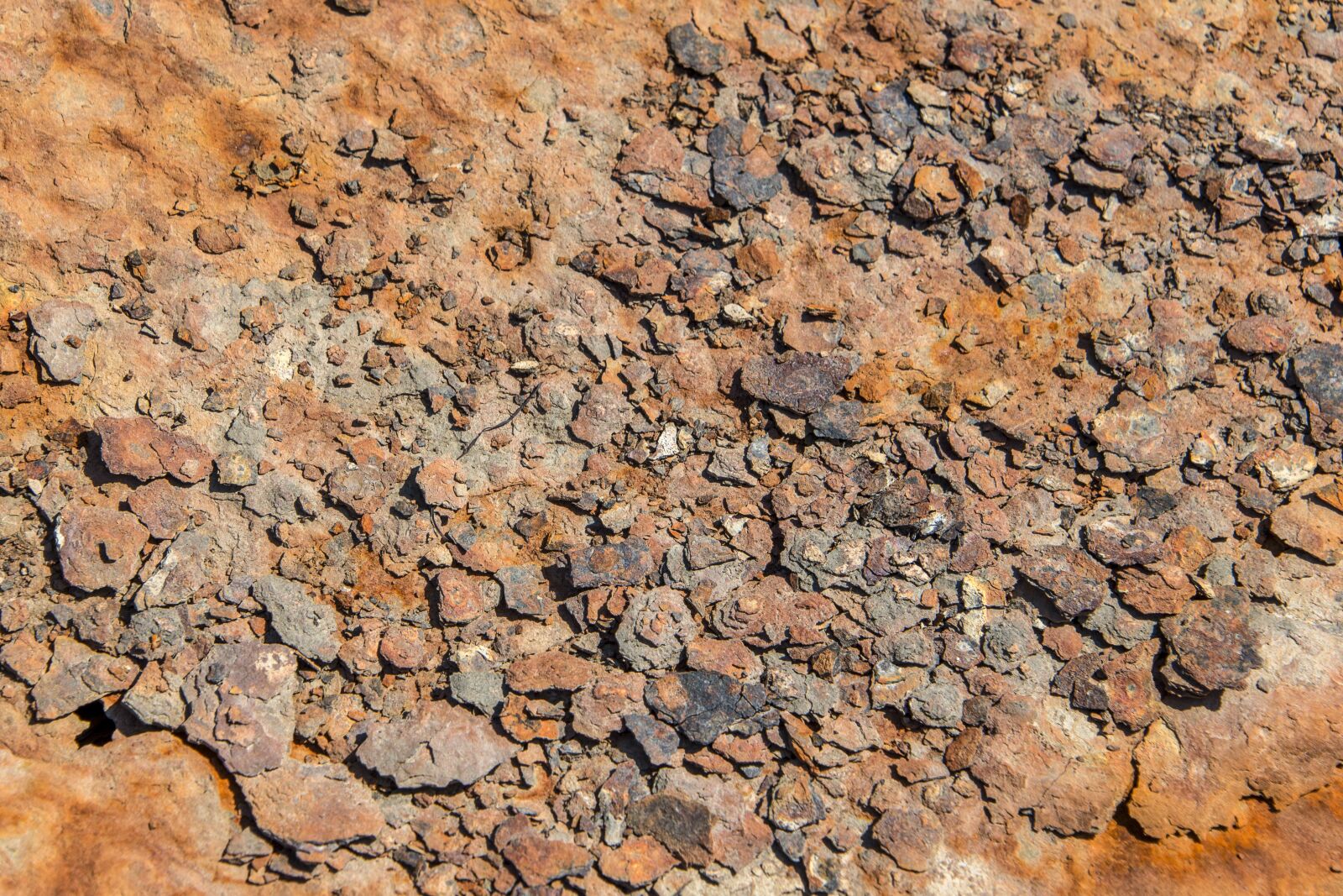 Nikon D610 sample photo. Peeling paint, rust, orange photography