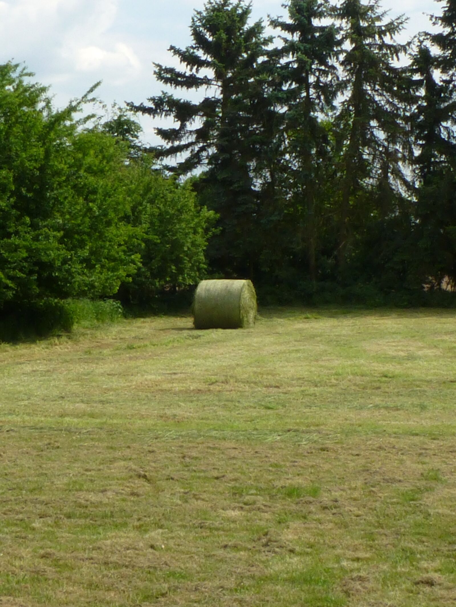 Panasonic DMC-TZ31 sample photo. Hay bales, hay, meadow photography