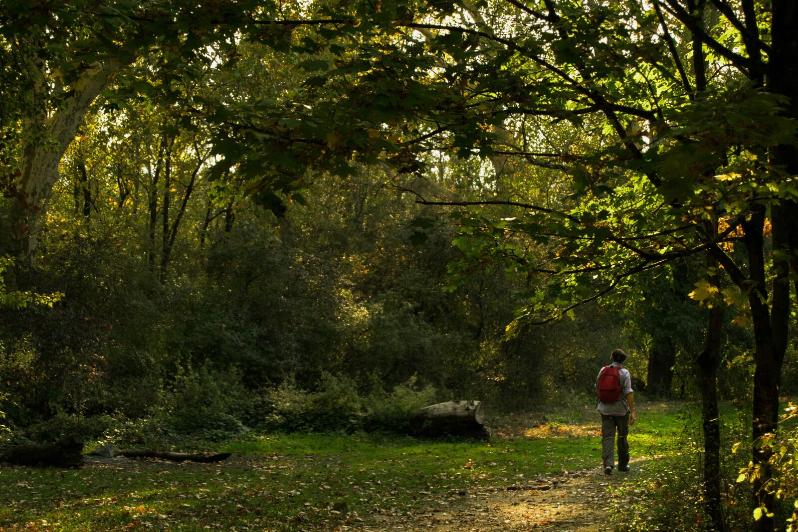 Nikon D3100 sample photo. Landscape, lake, park photography