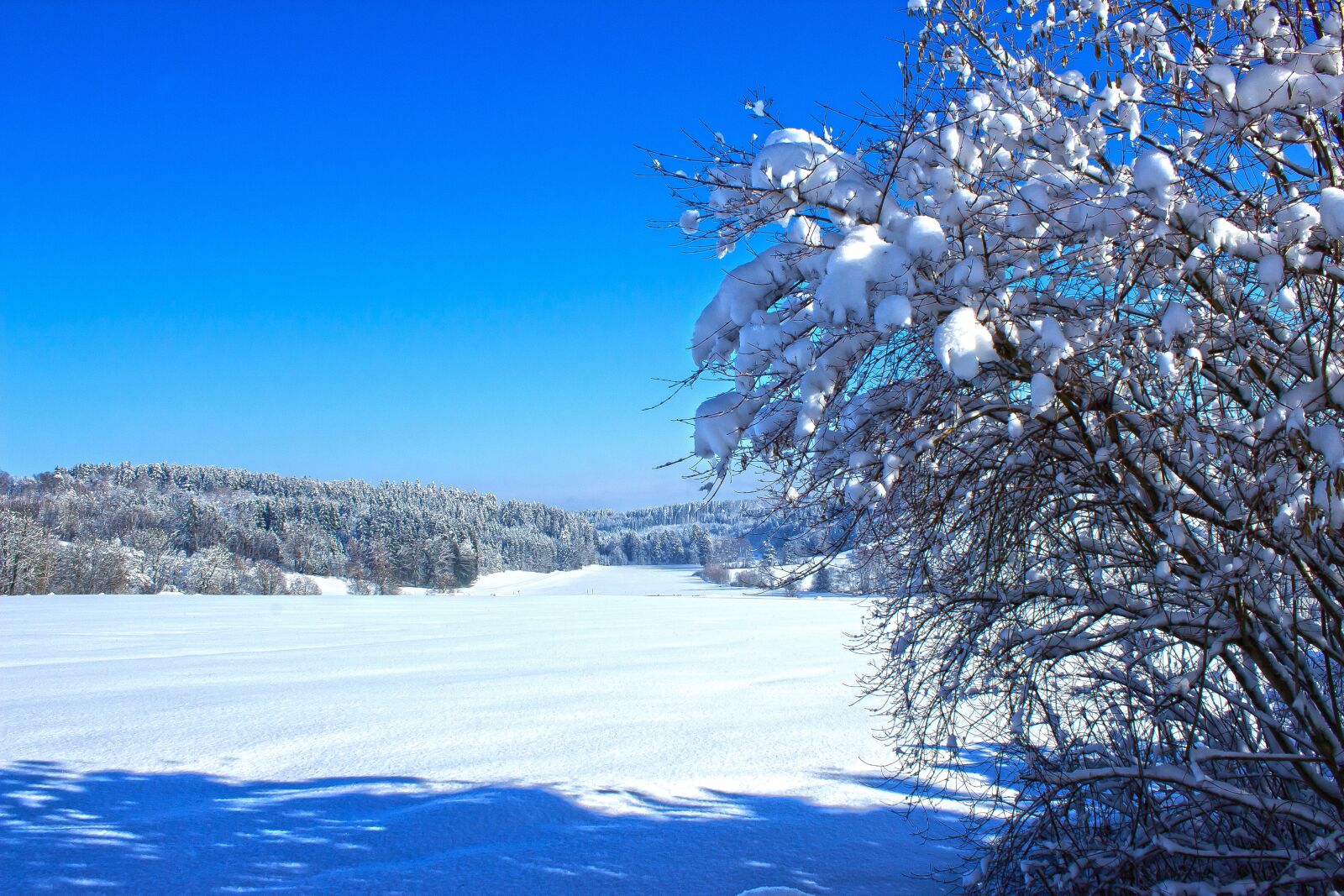 Canon EOS 1300D (EOS Rebel T6 / EOS Kiss X80) sample photo. Winter, snow, cold photography