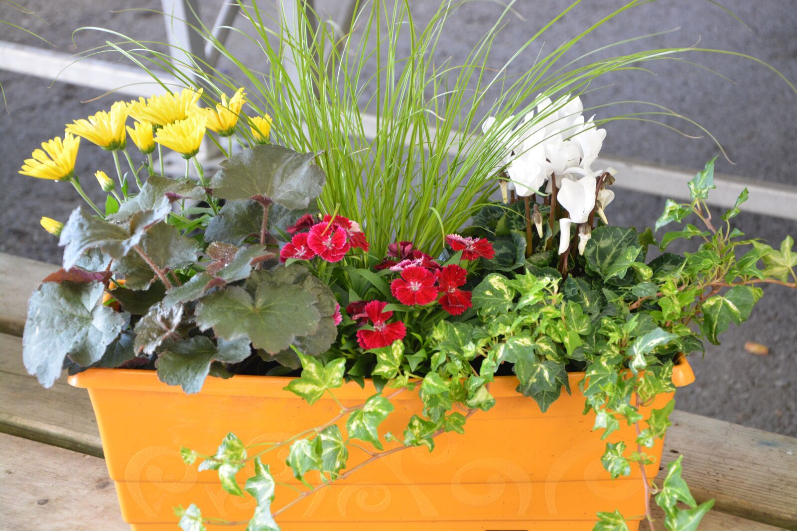 Nikon D5200 sample photo. Flowers, plant, pot photography