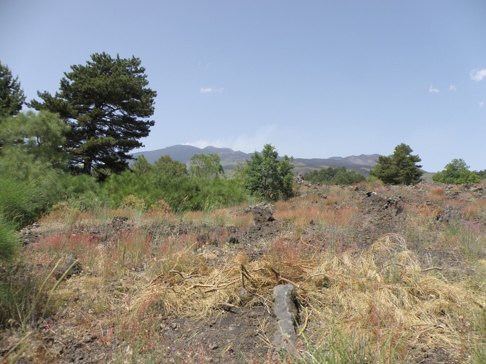 Olympus SP570UZ sample photo. Landscape, sicily, etna photography