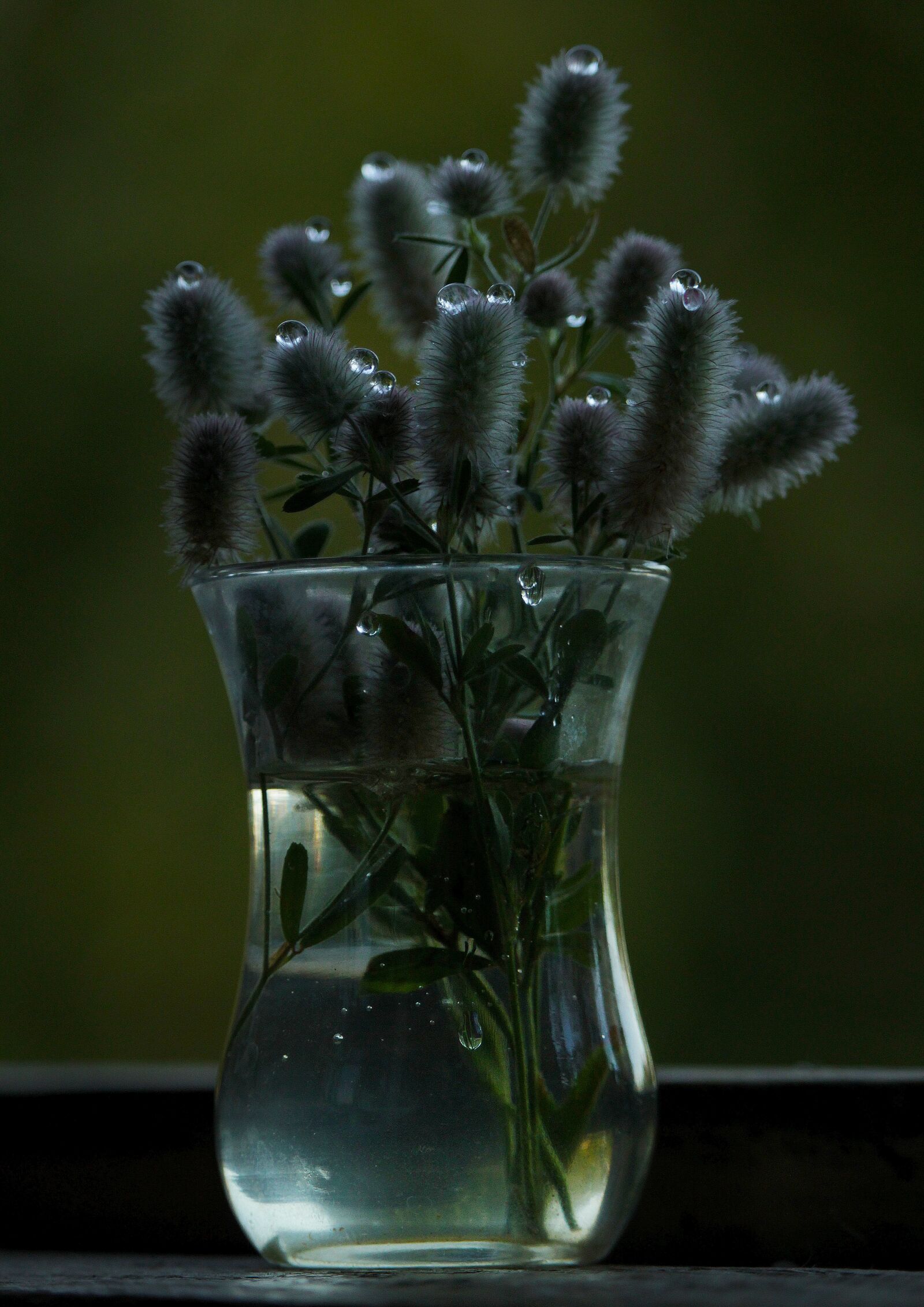 Canon EOS 1200D (EOS Rebel T5 / EOS Kiss X70 / EOS Hi) sample photo. Glass, flower, plant photography