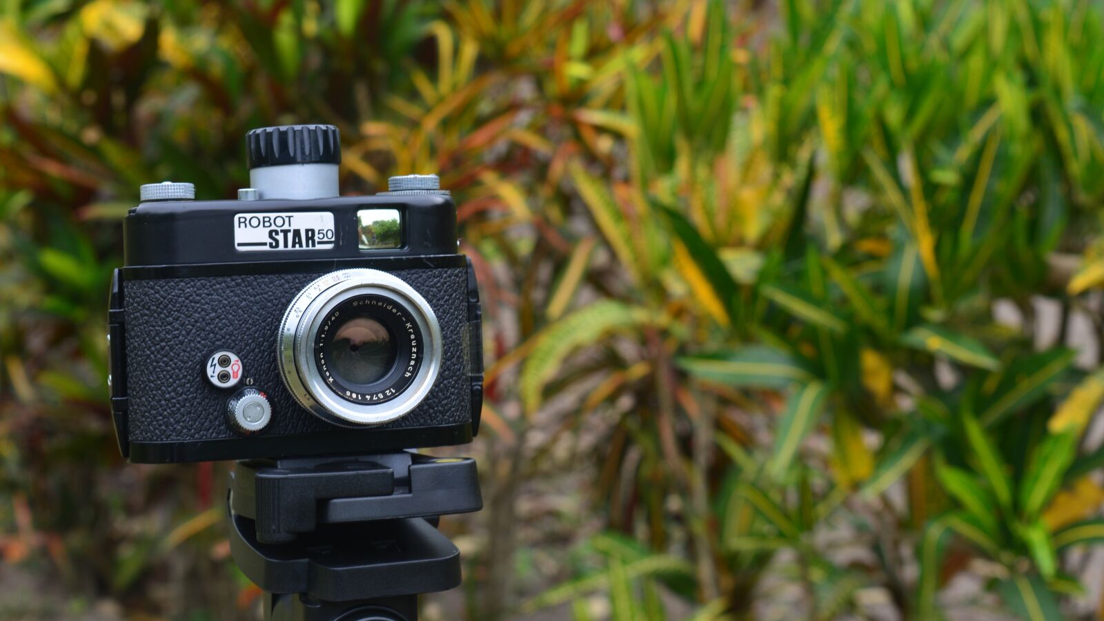 Nikon D5200 sample photo. Camera, similar, photography photography