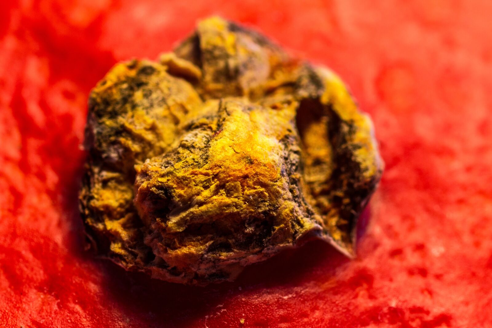 Sony SLT-A65 (SLT-A65V) sample photo. Pumpkin, choose, food photography