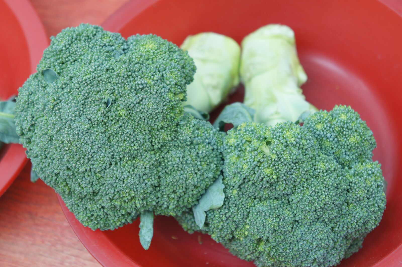 Sony Alpha NEX-3 + Sony E 18-55mm F3.5-5.6 OSS sample photo. Broccoli, vegetable, market photography