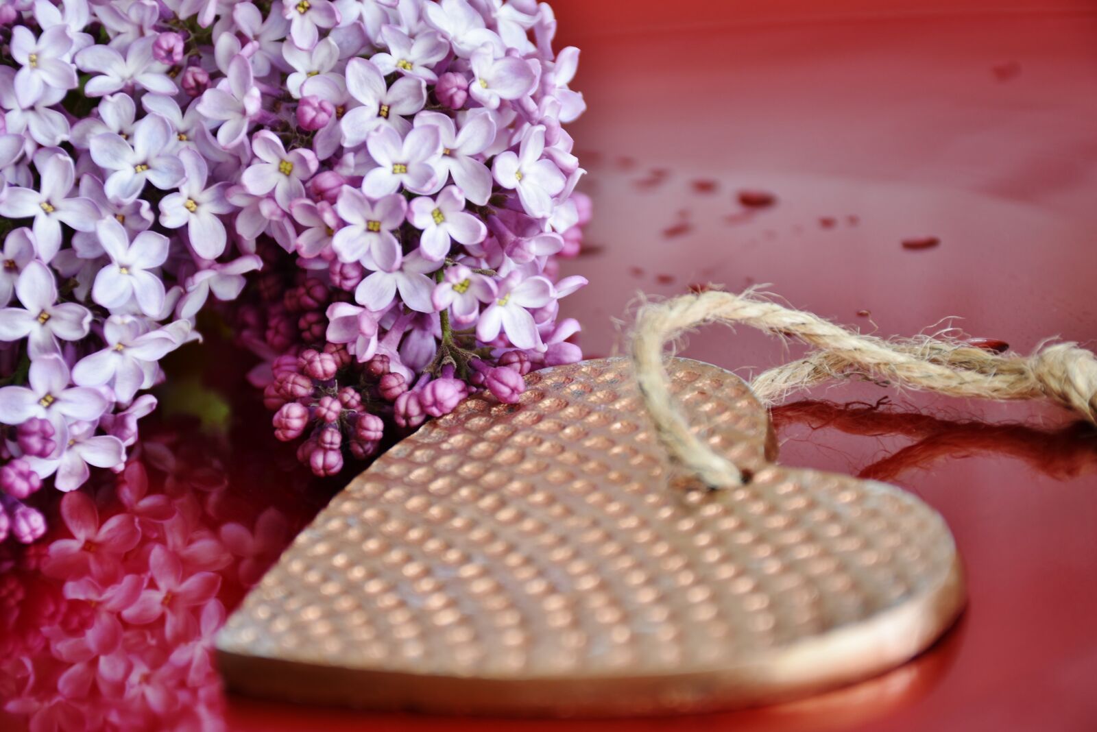 Nikon D7200 sample photo. Heart, lilac, flowers photography