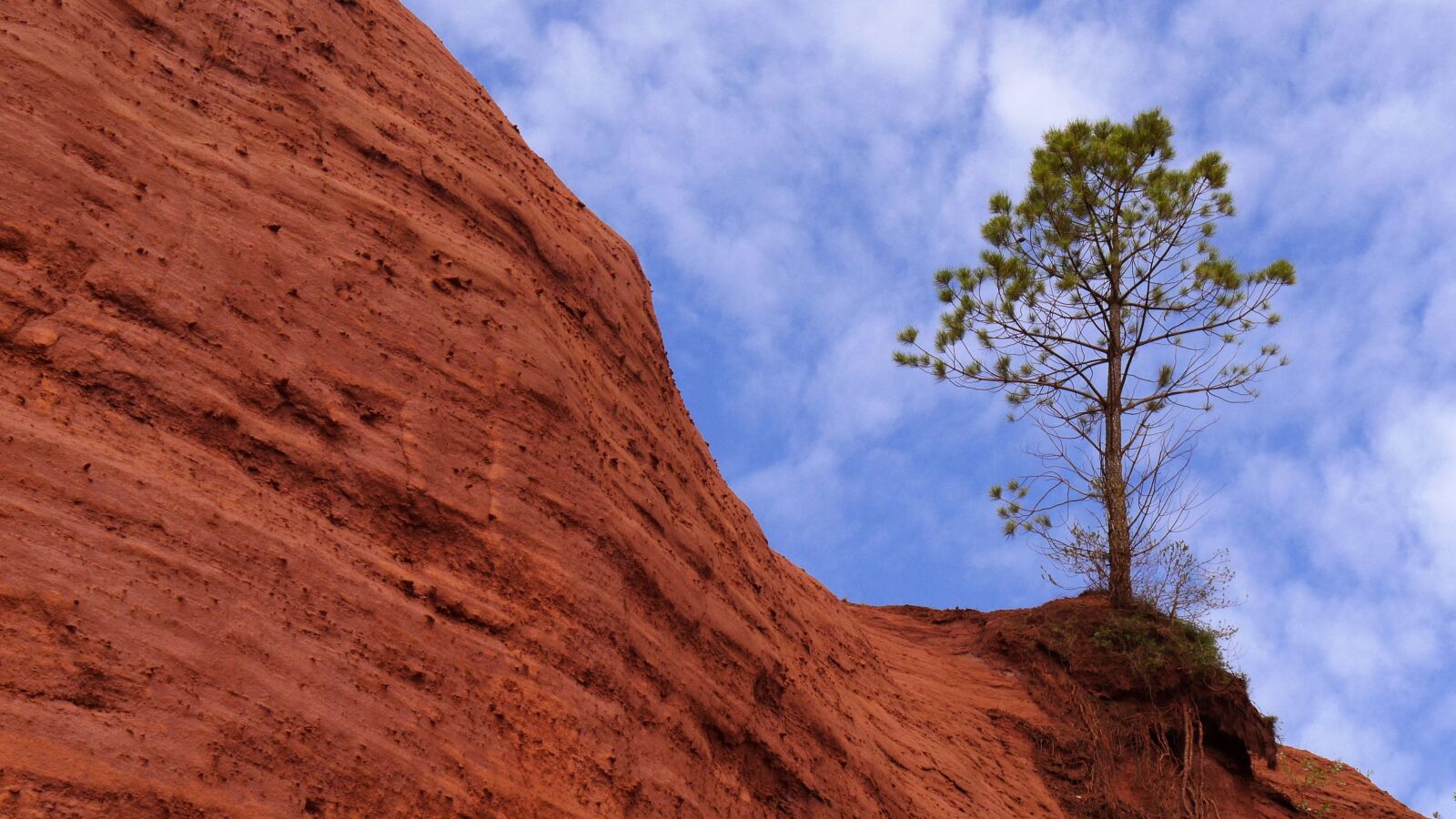 Panasonic Lumix DMC-GH3 sample photo. Nature, tree, landscape photography