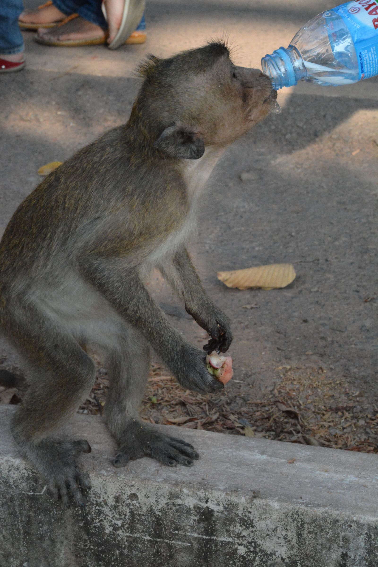 Nikon D7100 sample photo