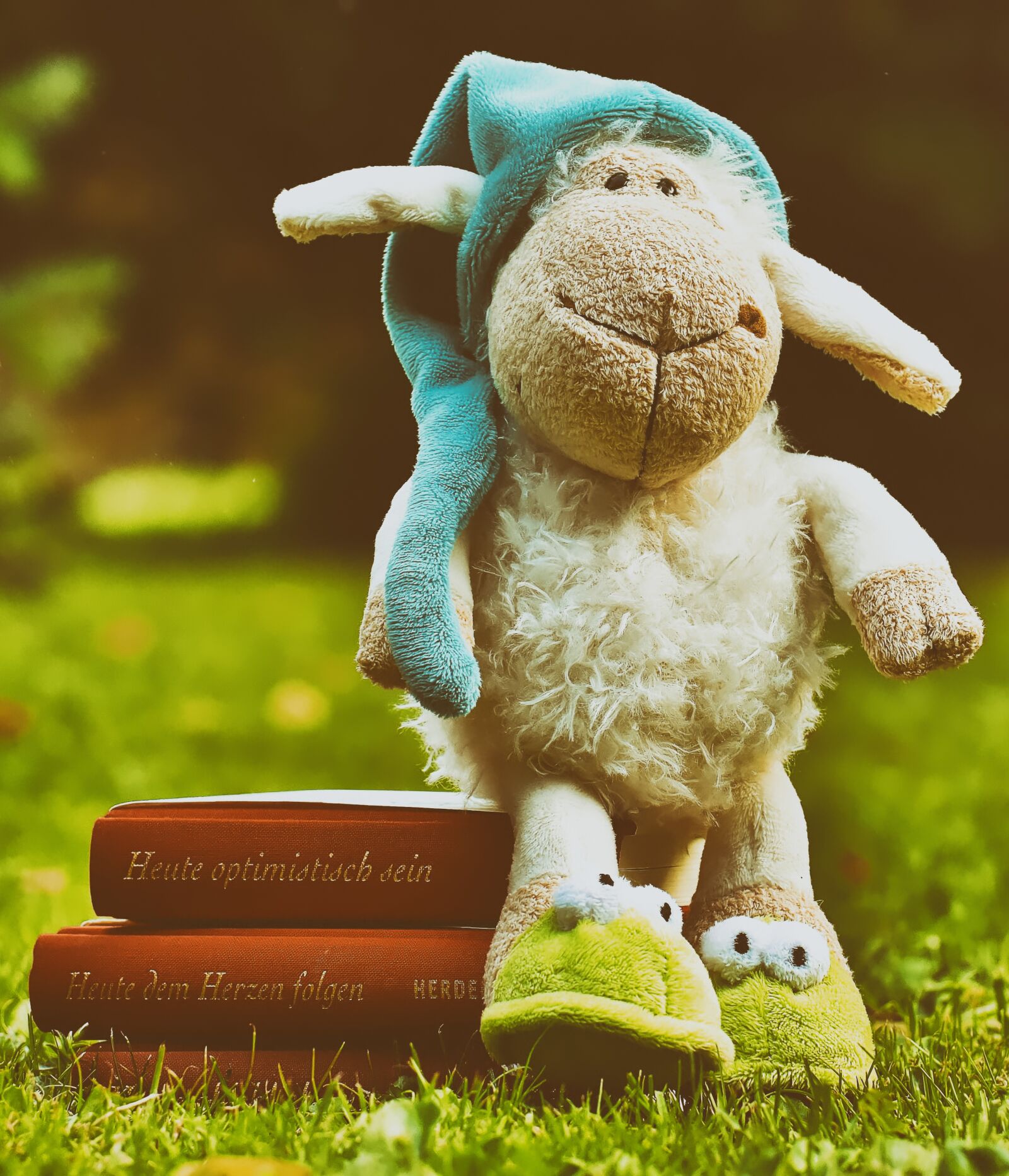 Nikon D7200 sample photo. Sheep, sleepyhead, meadow photography