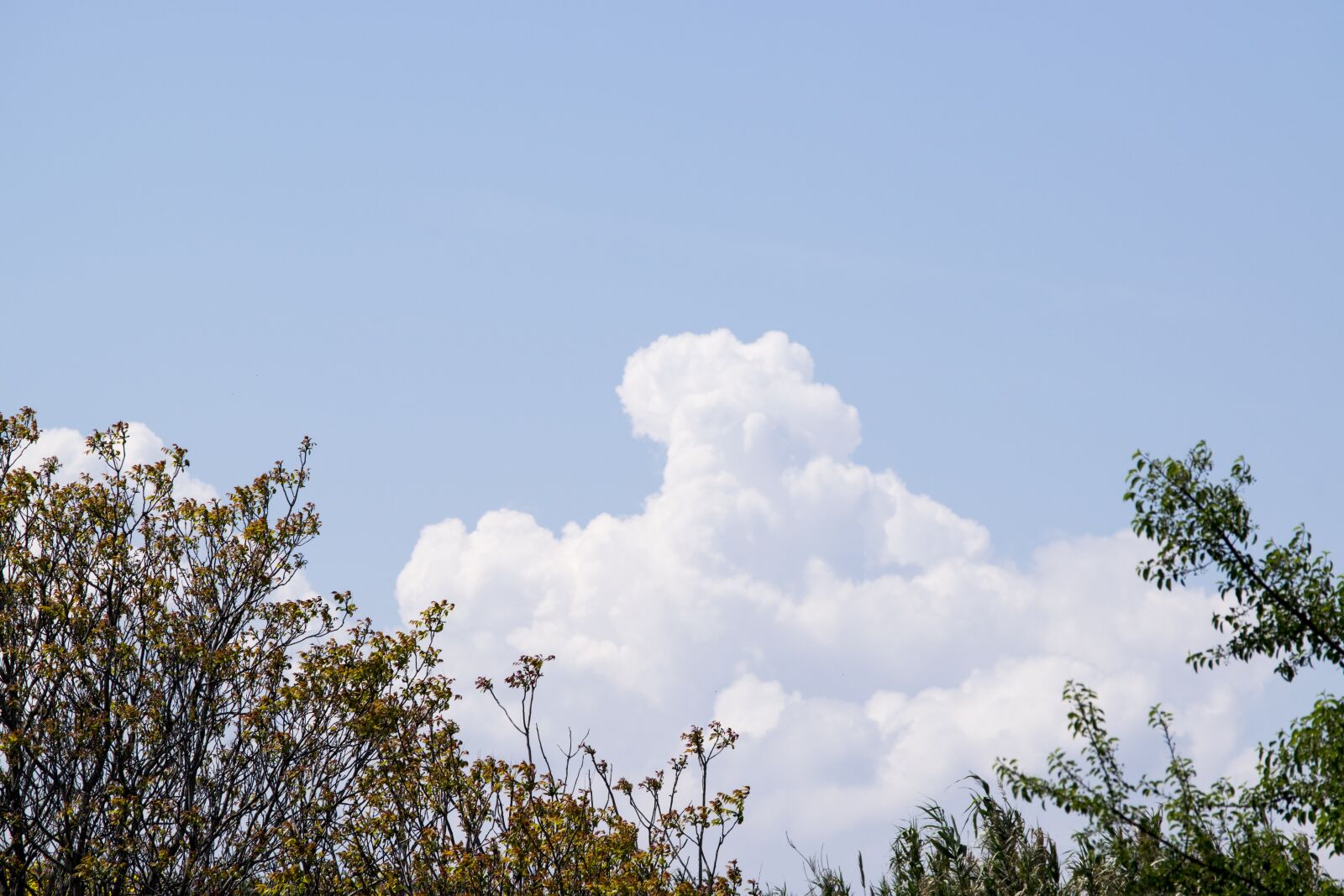 Nikon D5300 sample photo. Clouds, sky, sun photography