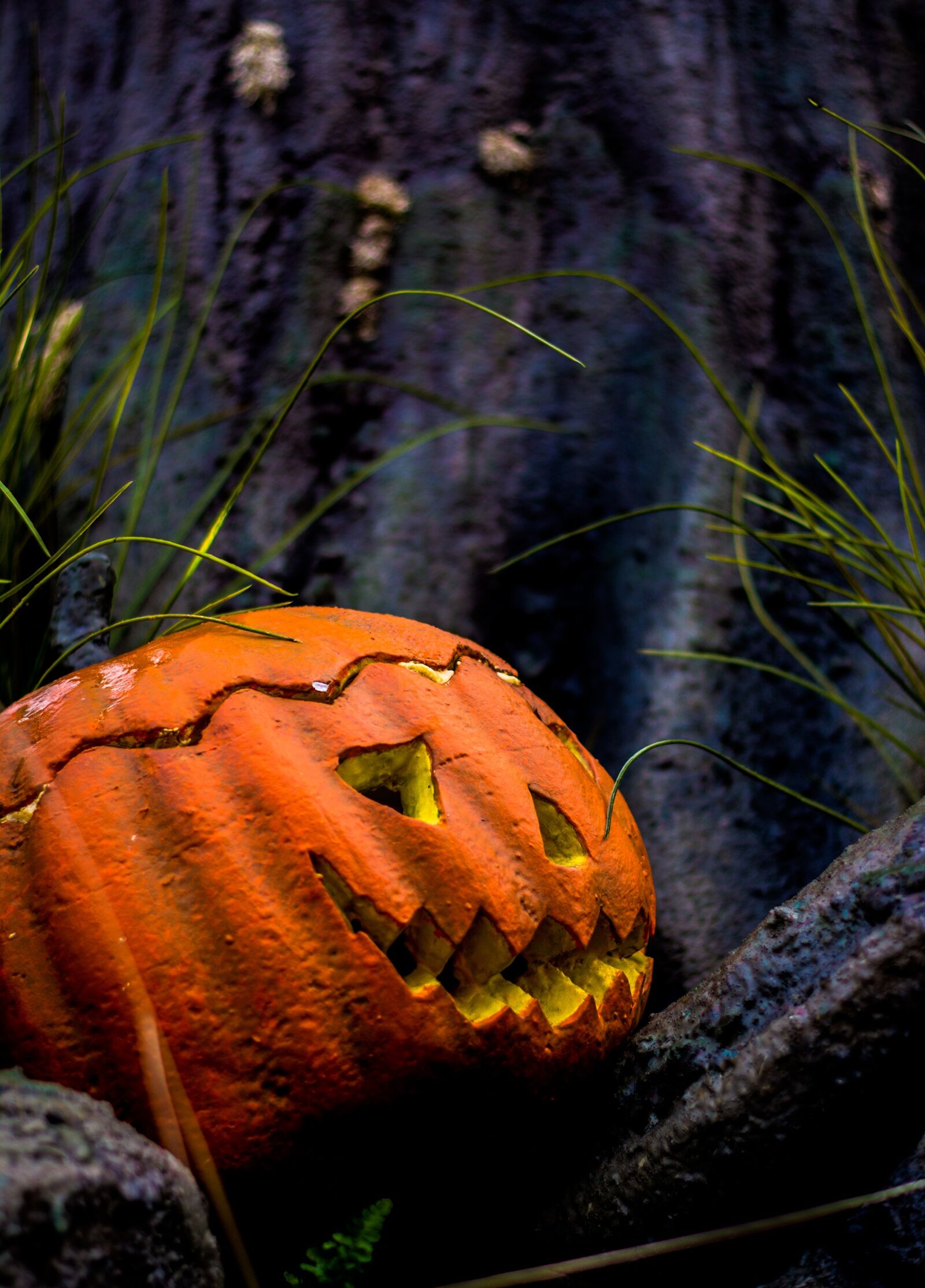 Nikon D7100 sample photo. Halloween, autumn, pumpkin photography