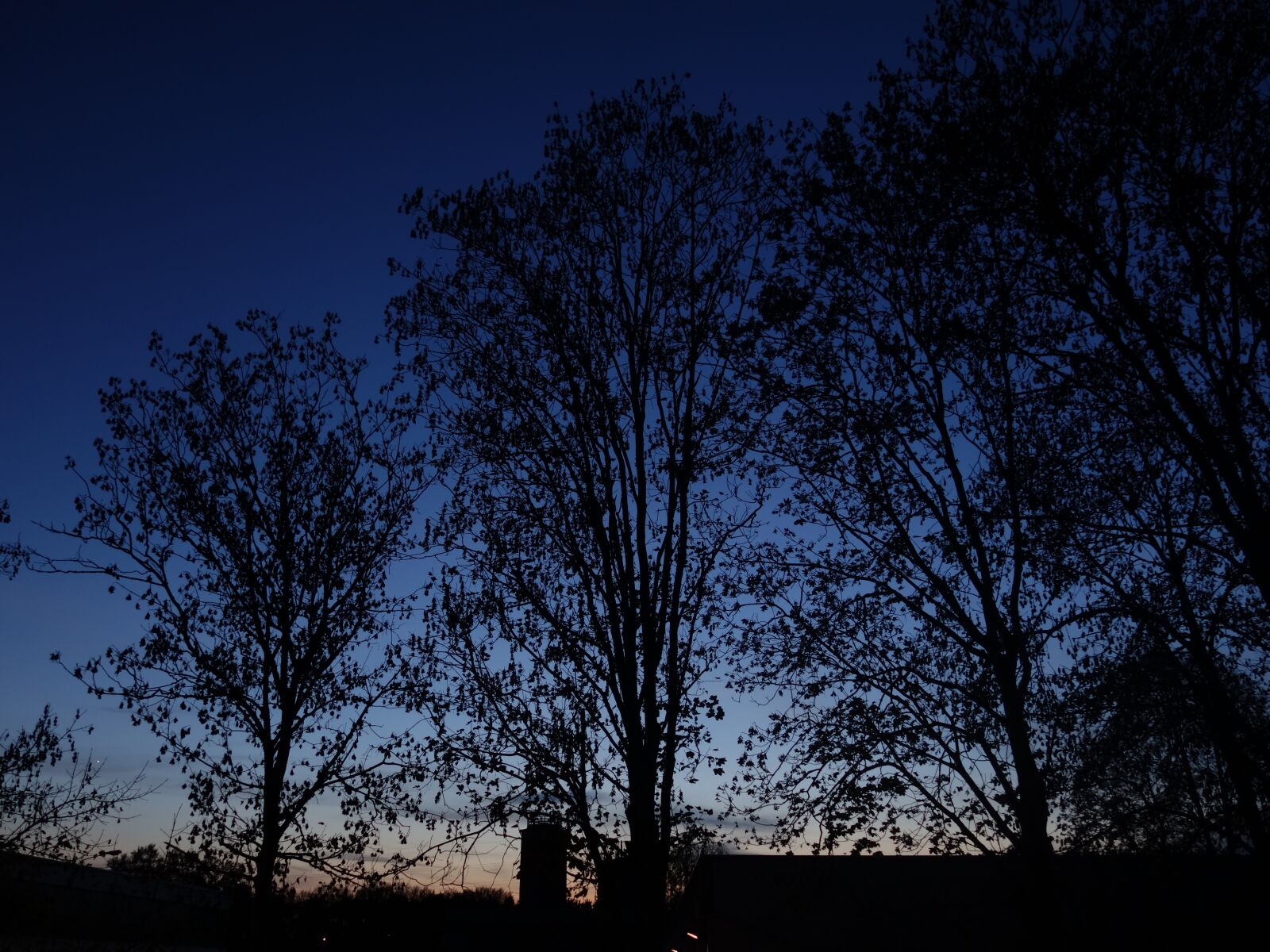 Sony Cyber-shot DSC-RX100 II sample photo. Trees, twilight, silhouette photography